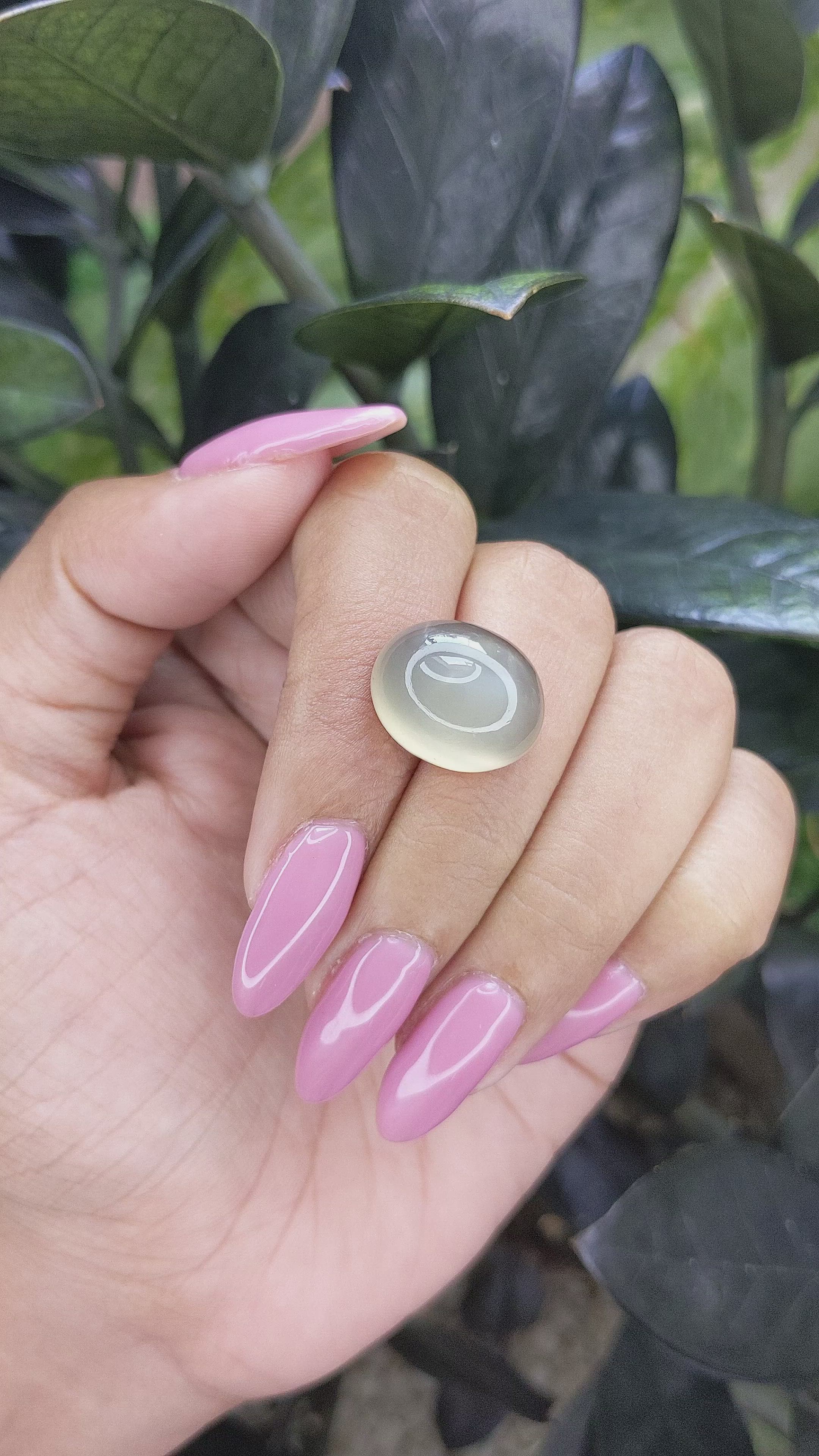 16.64 Ct. Cabochon Moonstone from Ceylon (Sri Lanka) Size Video