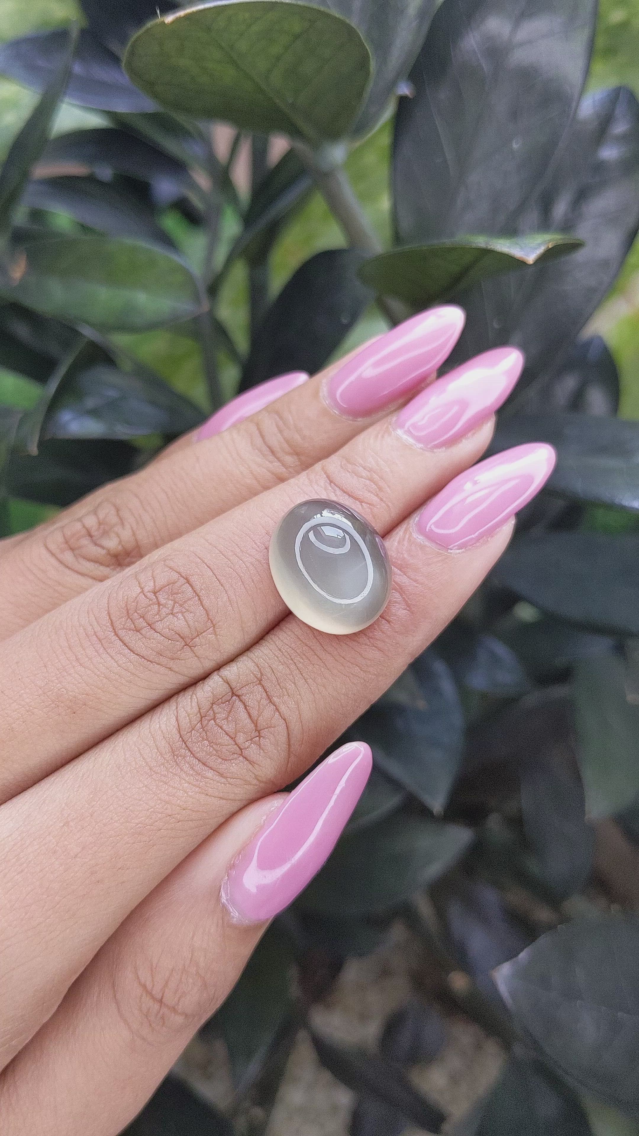 16.64 Ct. Cabochon Moonstone from Ceylon (Sri Lanka) Size Video