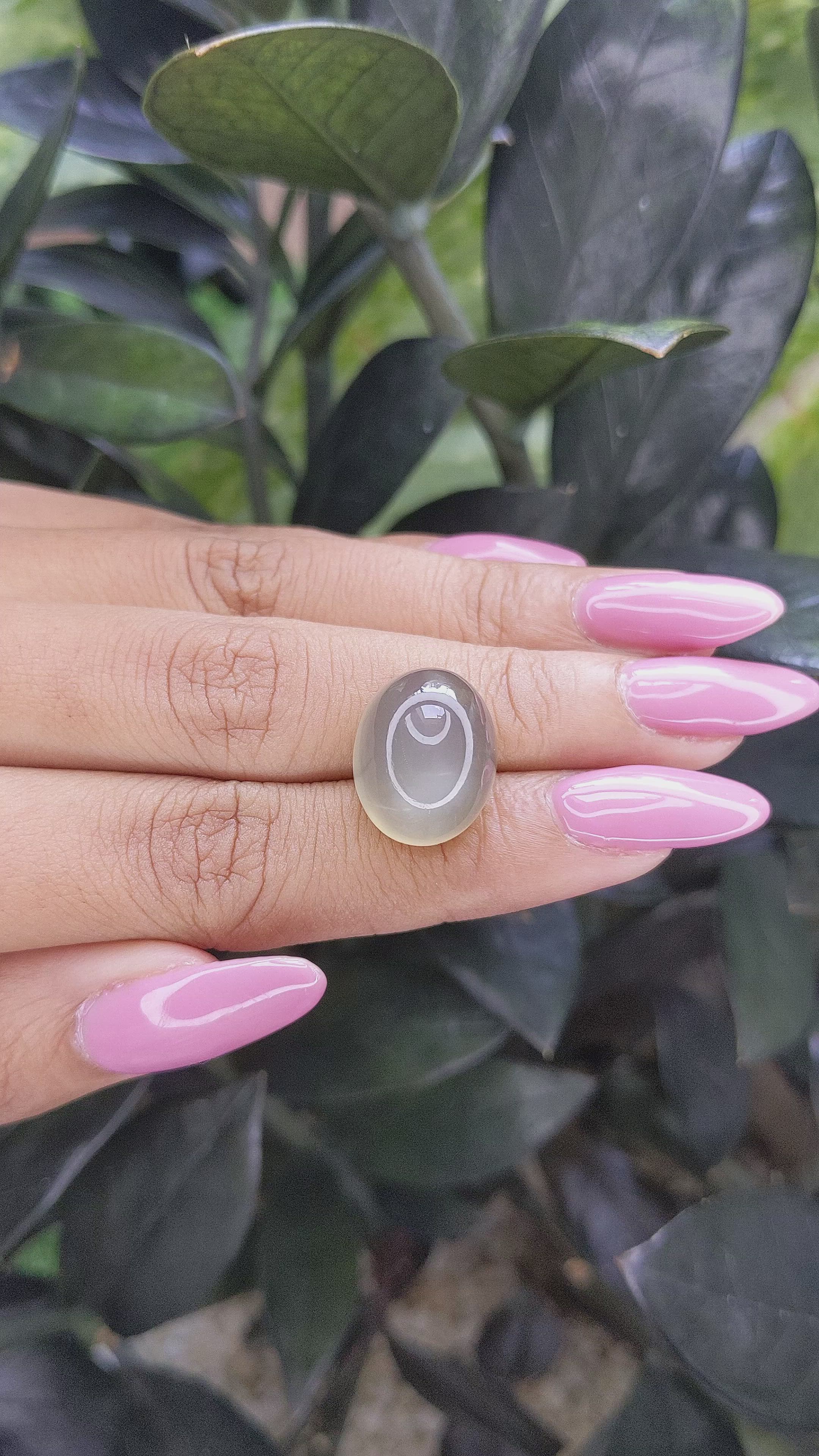 16.64 Ct. Cabochon Moonstone from Ceylon (Sri Lanka) Size Video