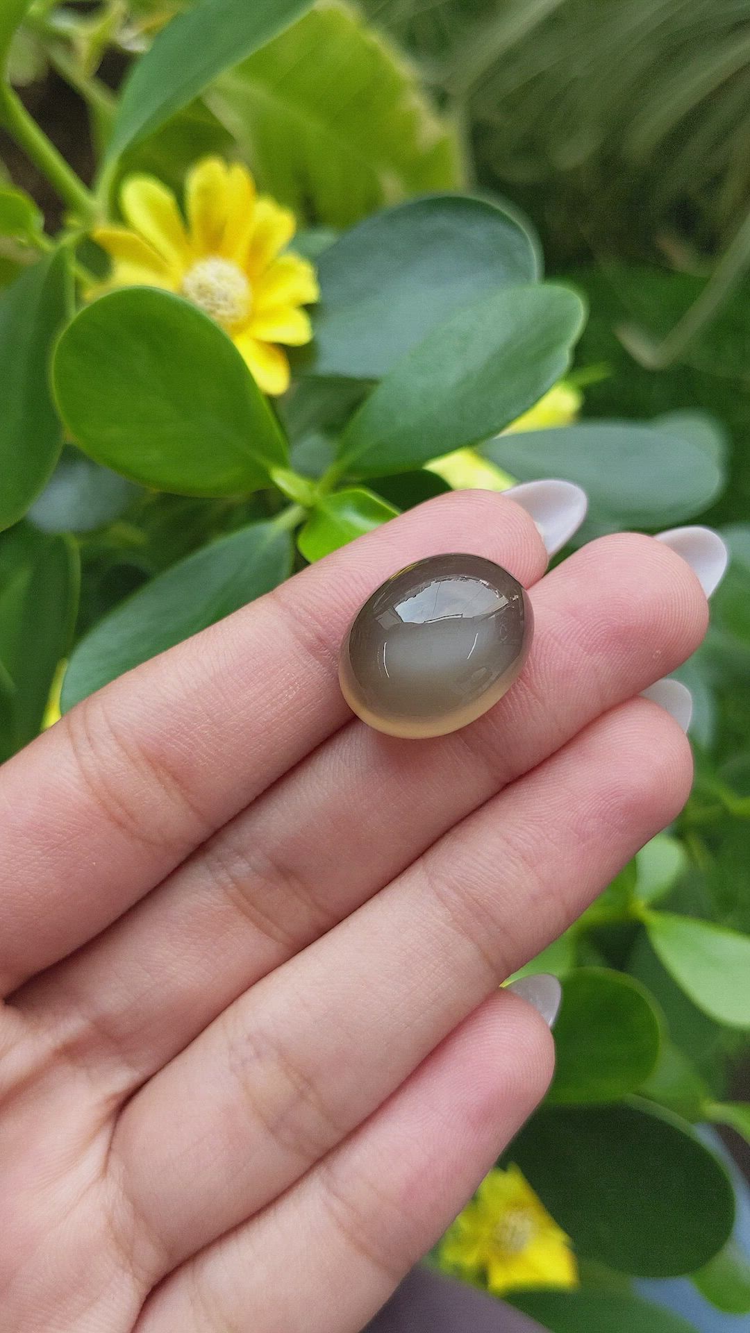 26.44 Ct. Cabochon Moonstone from Ceylon (Sri Lanka) Size Video