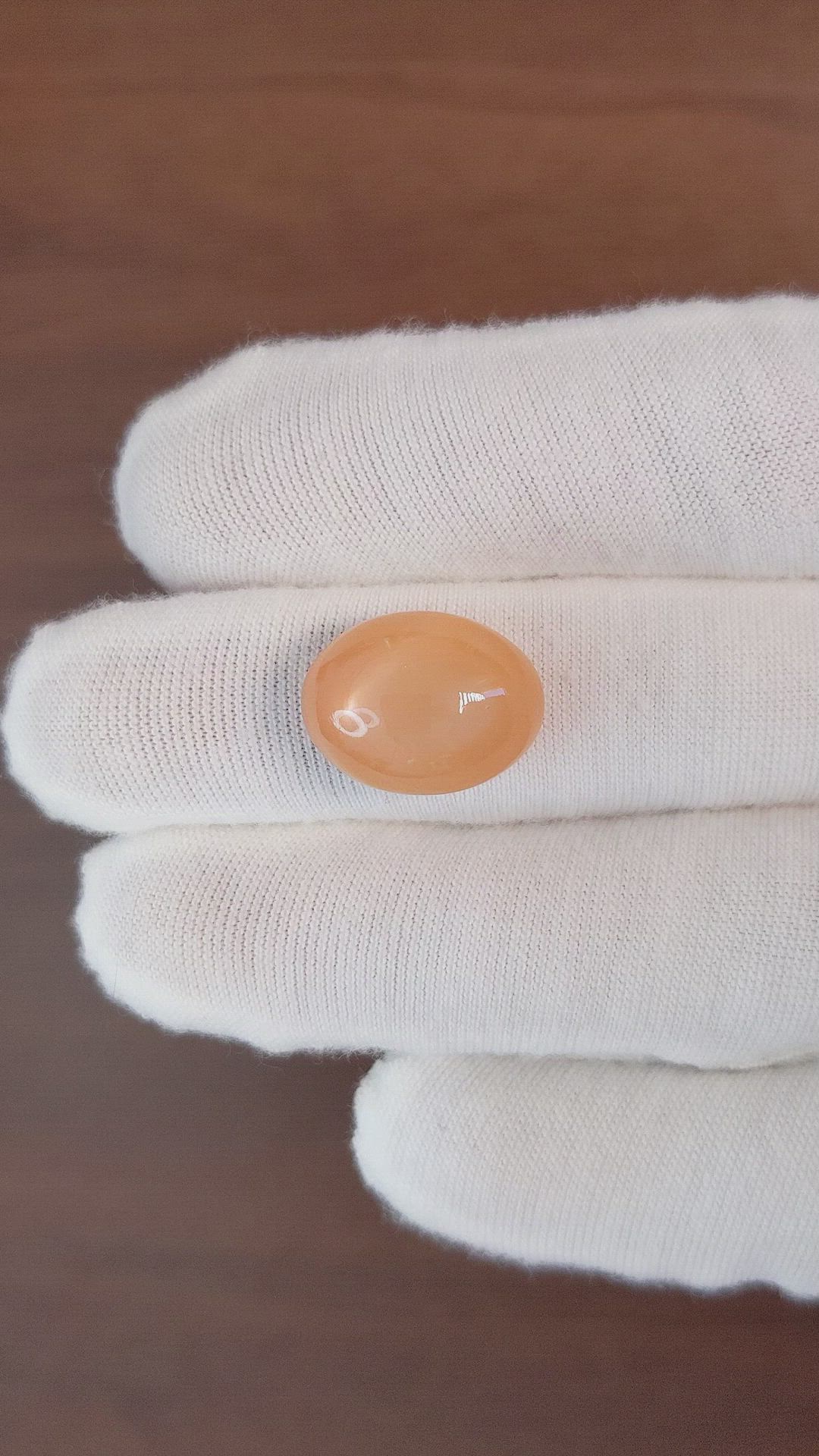 15.50 Ct. Cabochon Moonstone from Ceylon (Sri Lanka) Size Video