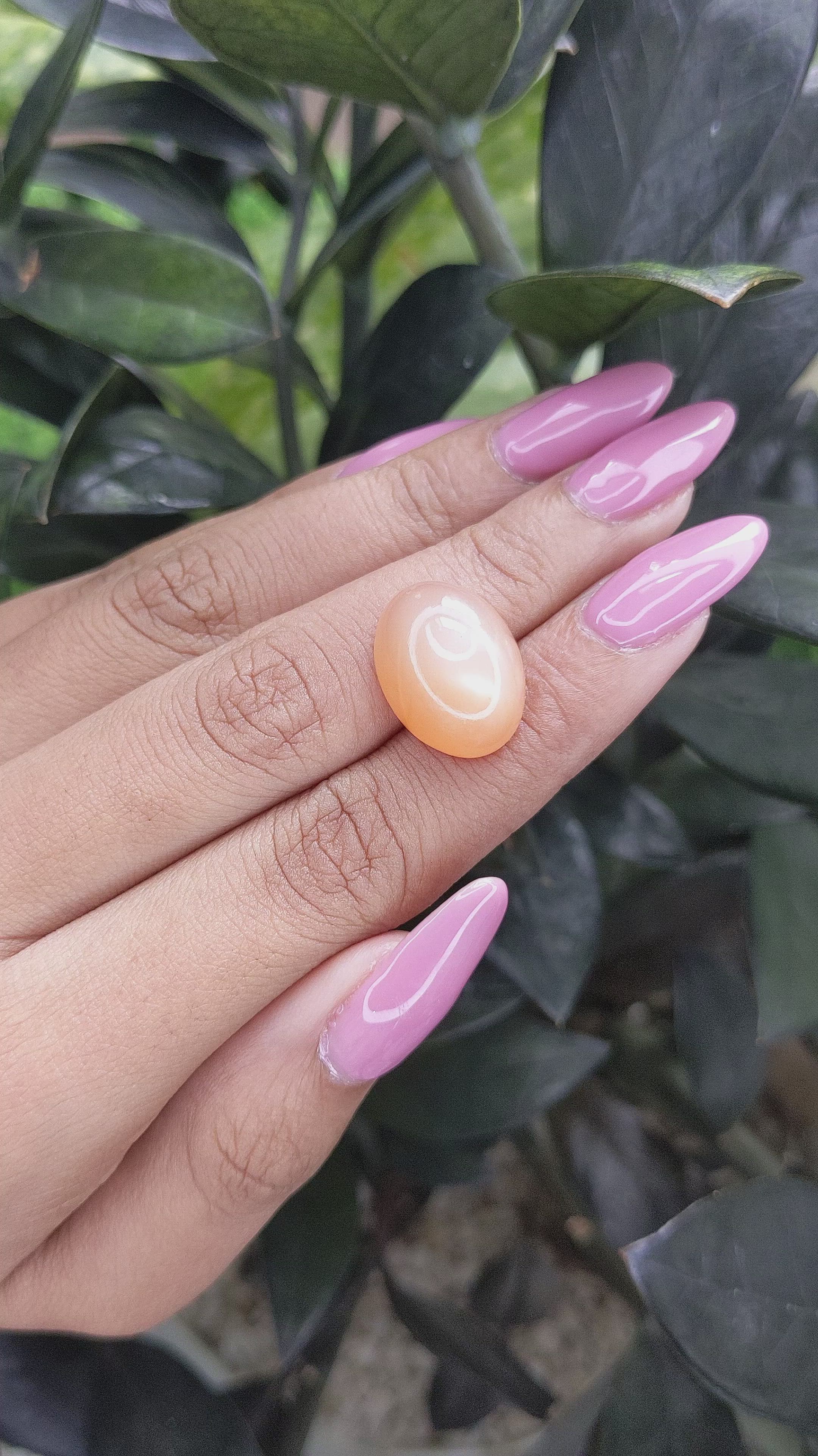 15.50 Ct. Cabochon Moonstone from Ceylon (Sri Lanka) Size Video