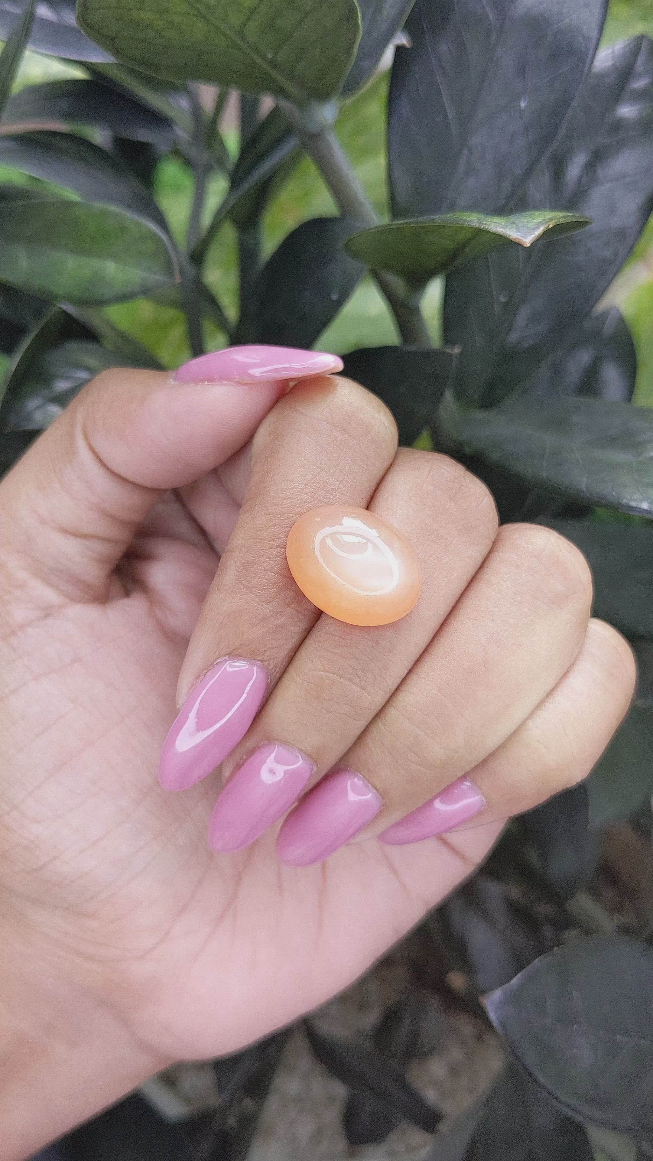15.50 Ct. Cabochon Moonstone from Ceylon (Sri Lanka) Size Video