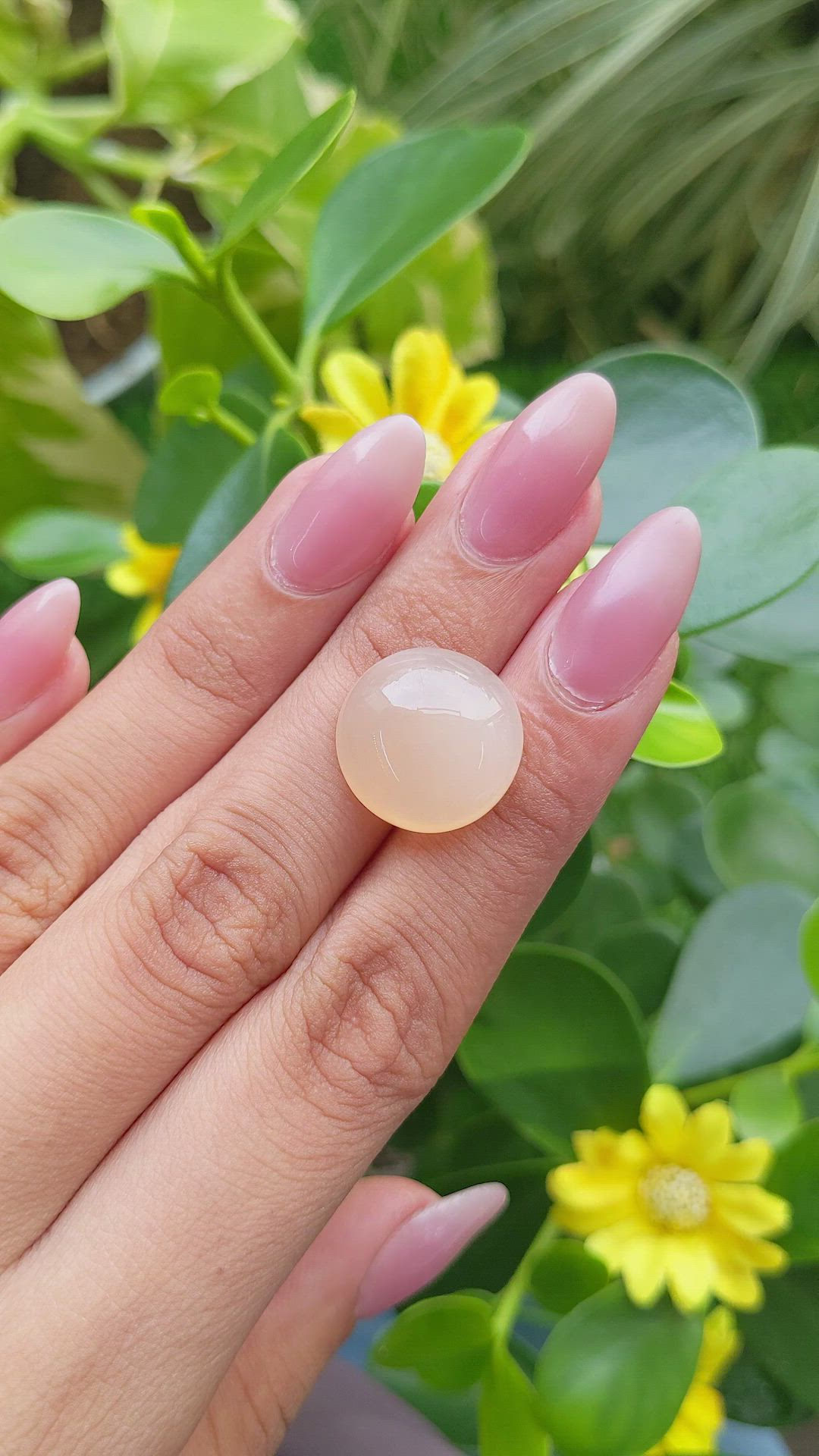 14.70 Ct. Cabochon Moonstone from Ceylon (Sri Lanka) Size Video