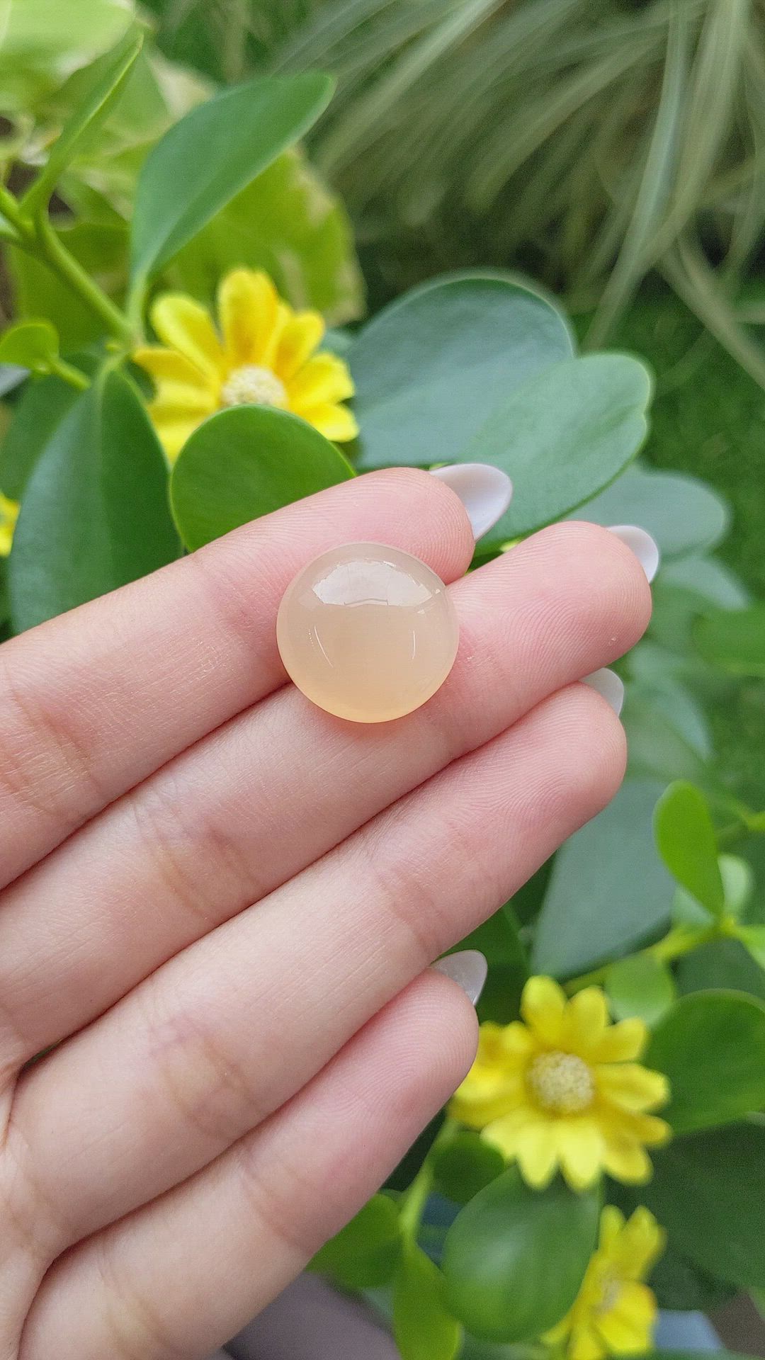 14.70 Ct. Cabochon Moonstone from Ceylon (Sri Lanka) Size Video