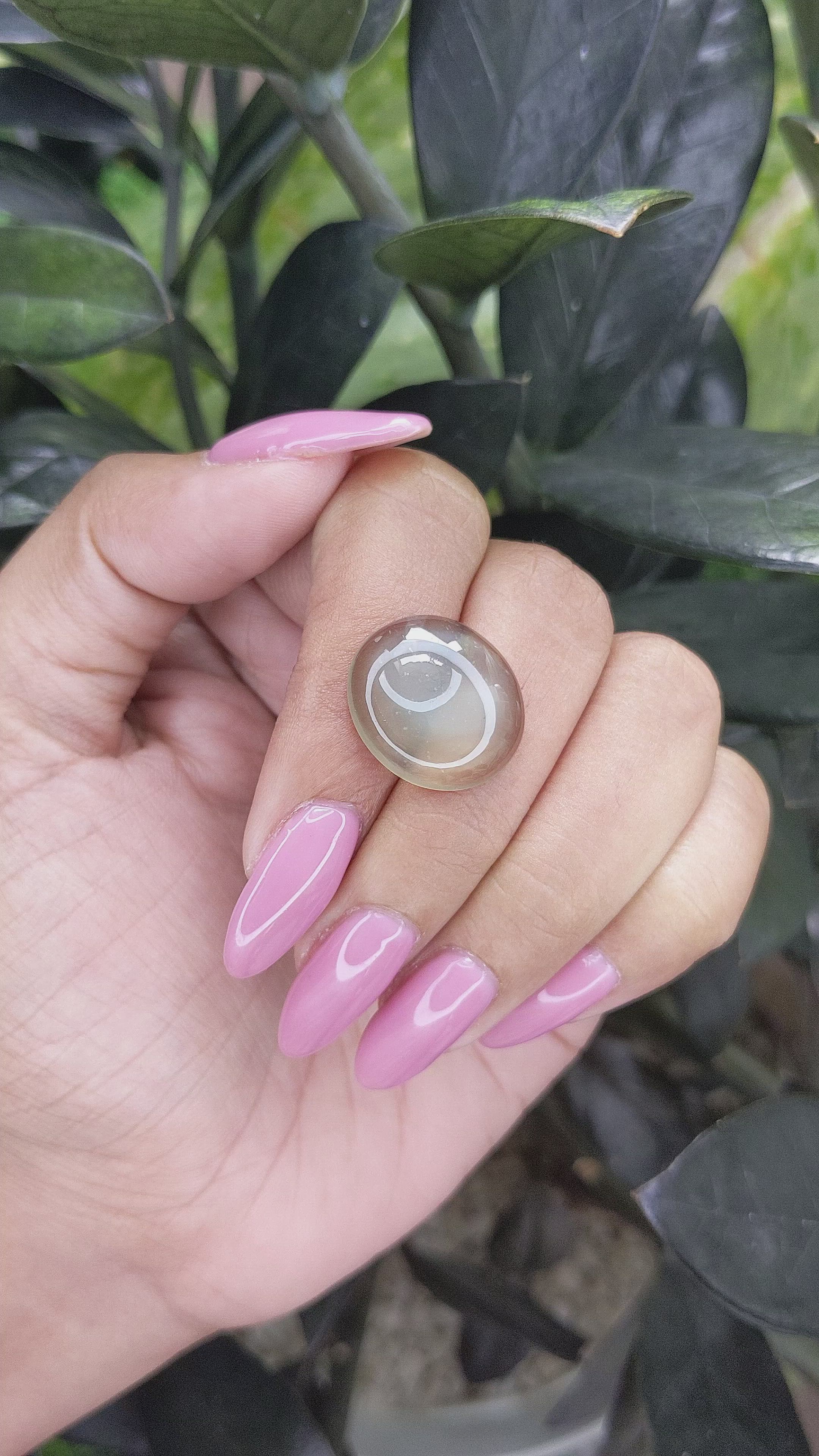 11.81 Ct. Cabochon Moonstone from Ceylon (Sri Lanka) Size Video