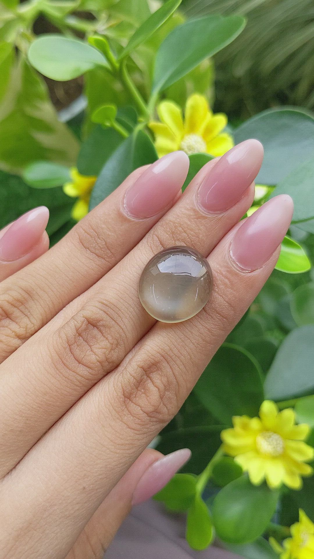 11.81 Ct. Cabochon Moonstone from Ceylon (Sri Lanka) Size Video