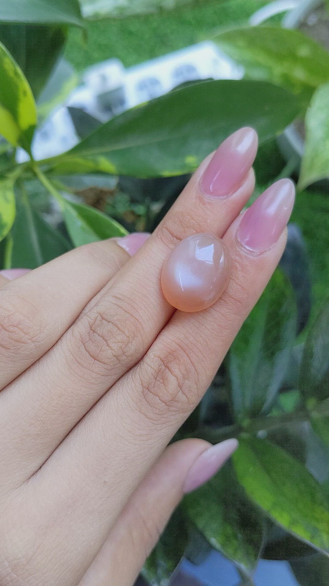 15.36 Ct. Cabochon Moonstone from Ceylon (Sri Lanka) Size Video