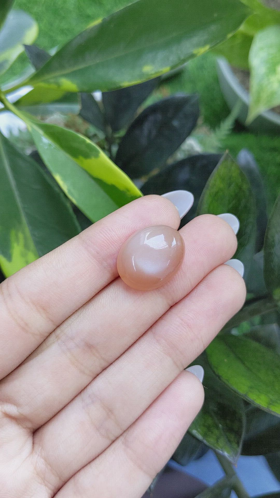 15.36 Ct. Cabochon Moonstone from Ceylon (Sri Lanka) Size Video