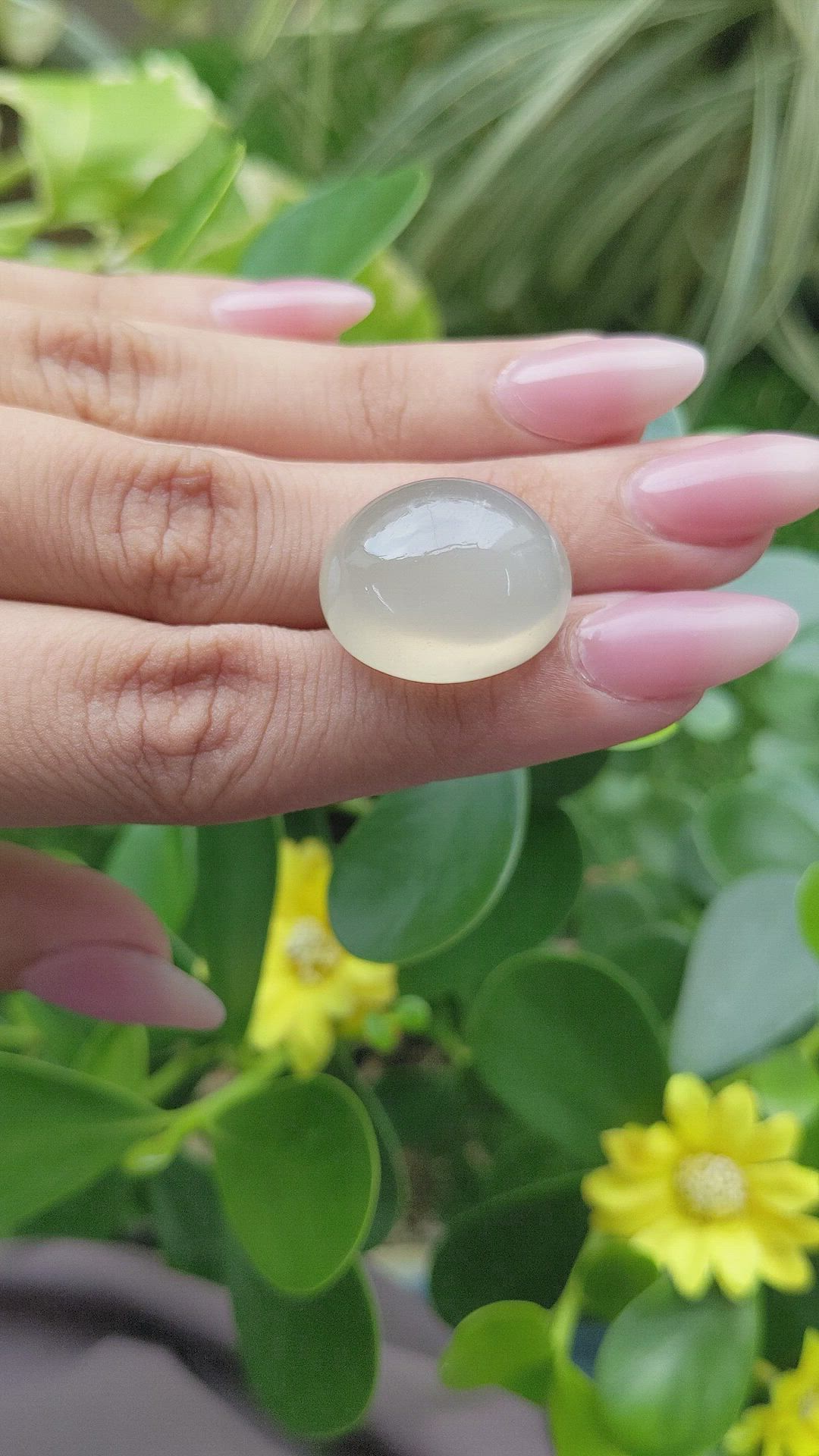 33.16 Ct. Cabochon Moonstone from Ceylon (Sri Lanka) Size Video