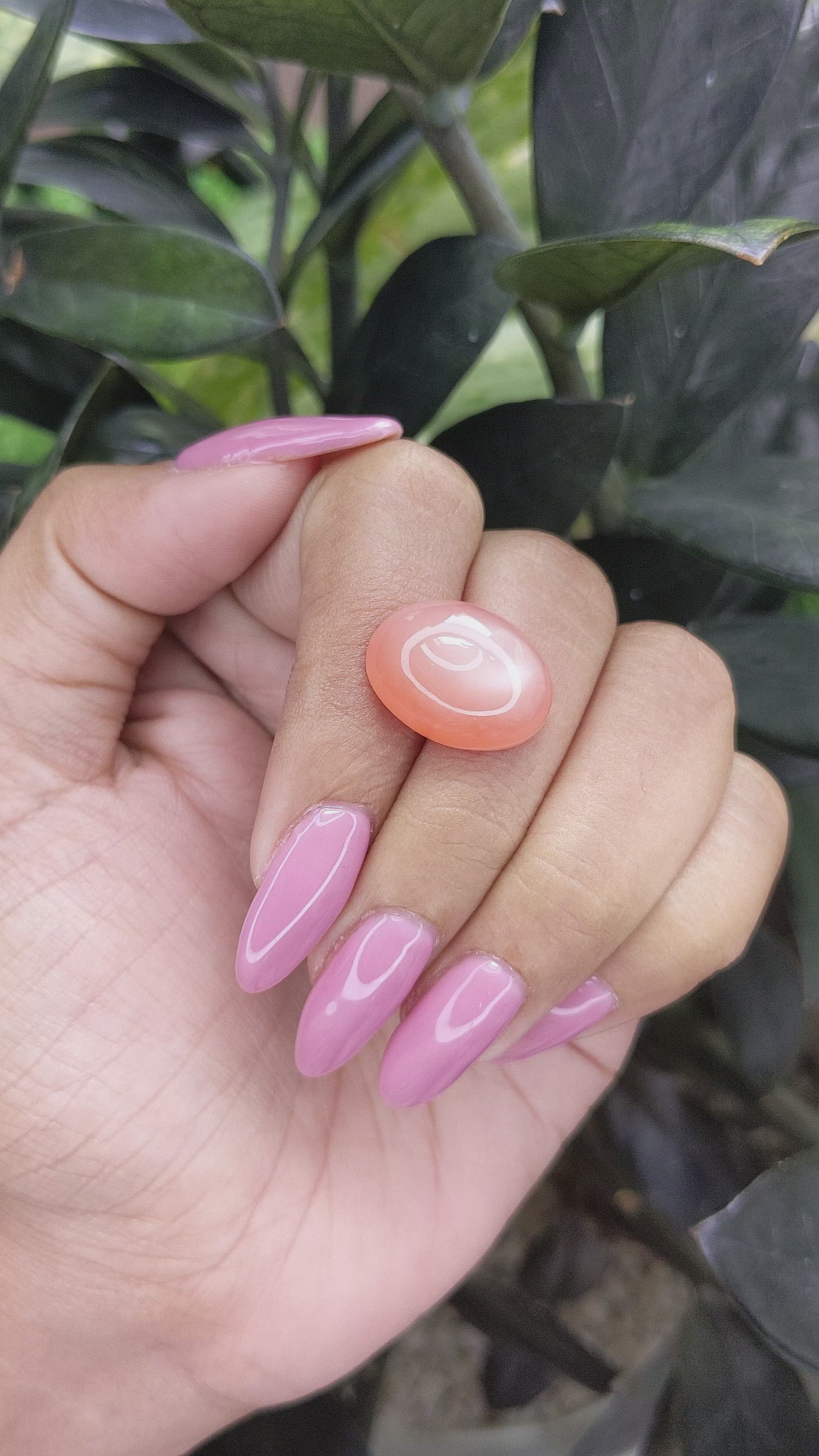 14.30 Ct. Cabochon Moonstone from Ceylon (Sri Lanka) Size Video