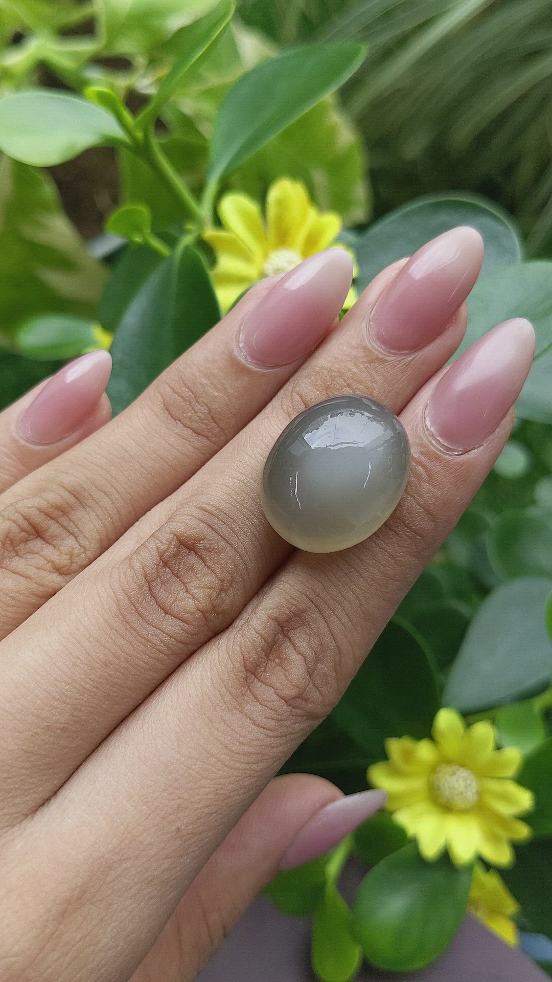 33.32 Ct. Cabochon Moonstone from Ceylon (Sri Lanka) Size Video