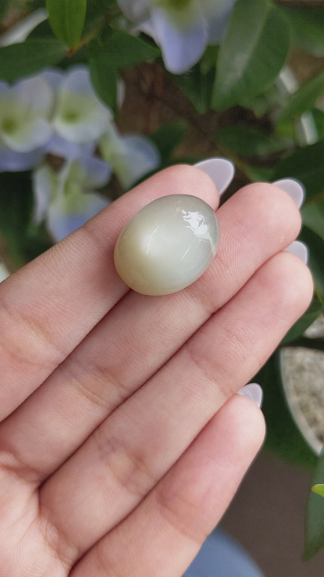 30.11 Ct. Cabochon Moonstone from Ceylon (Sri Lanka) Size Video