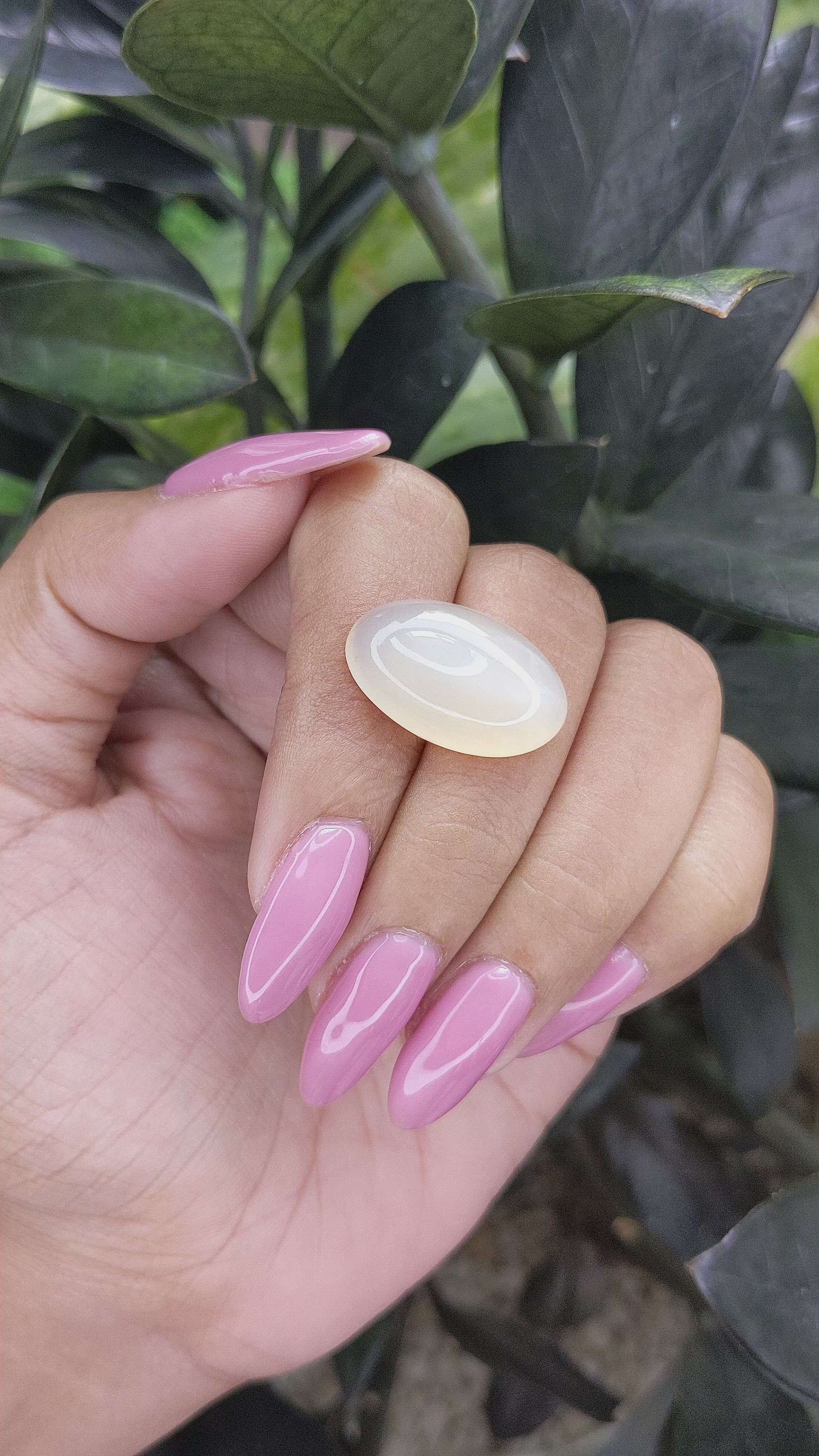 16.68 Ct. Cabochon Moonstone from Ceylon (Sri Lanka) Size Video