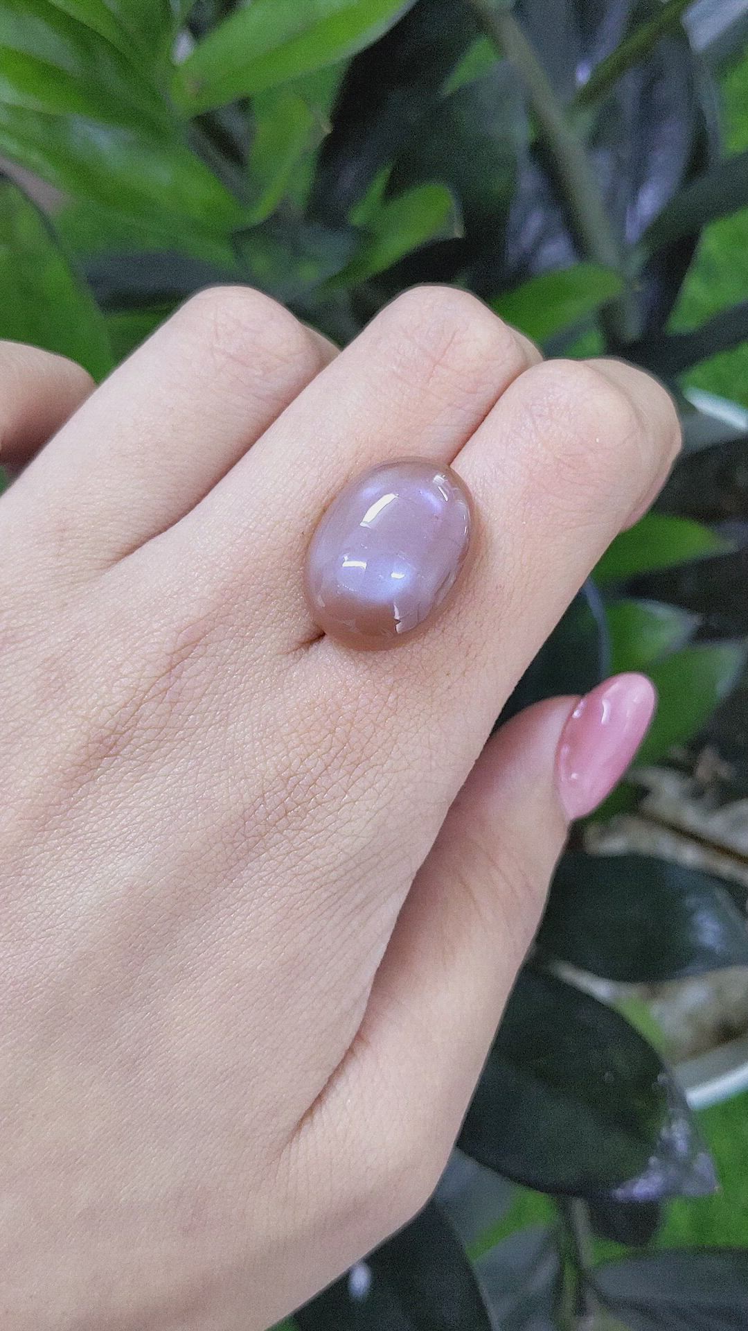 20.47 Ct. Cabochon Moonstone from Ceylon (Sri Lanka) Size Video