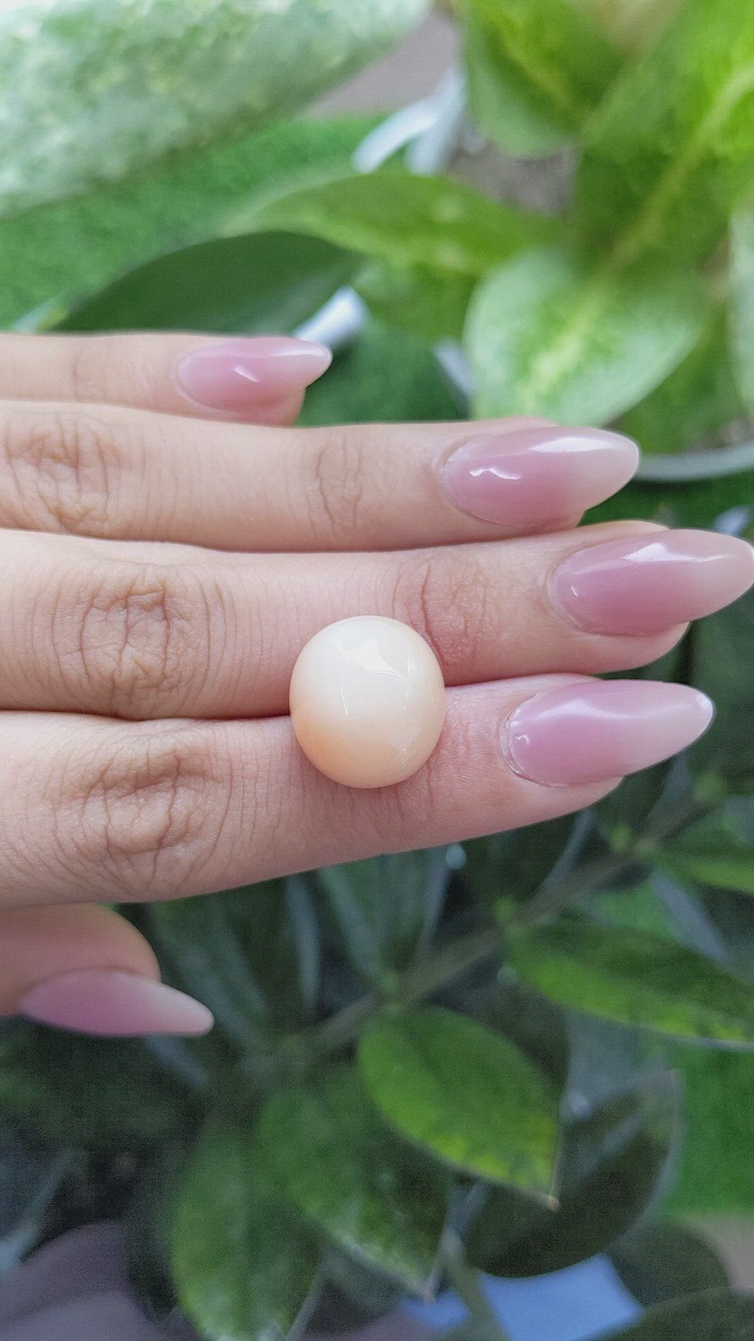 21.62 Ct. Cabochon Moonstone from Ceylon (Sri Lanka) Size Video