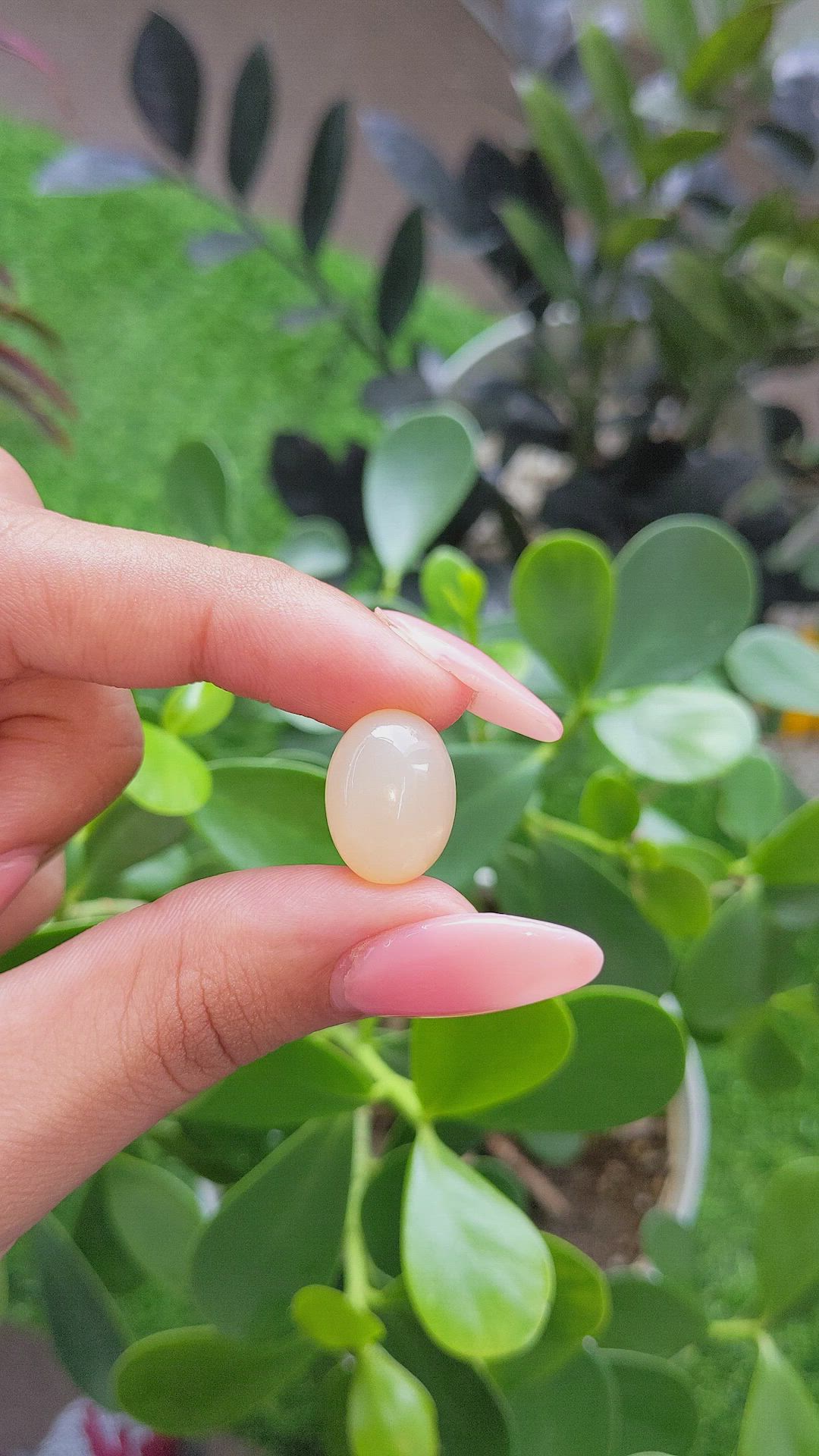 13.16 Ct. Cabochon Moonstone from Ceylon (Sri Lanka) Size Video