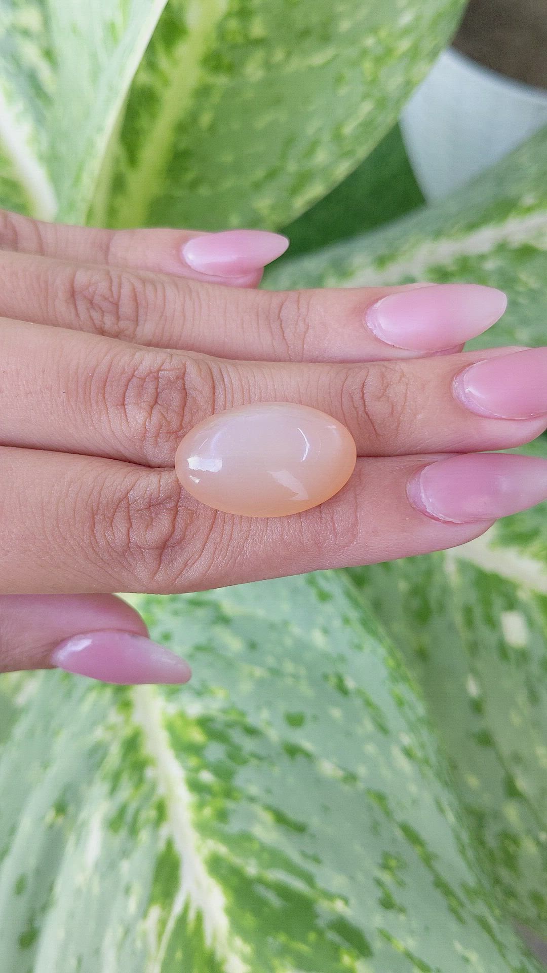 27.10 Ct. Cabochon Moonstone from Ceylon (Sri Lanka) Size Video