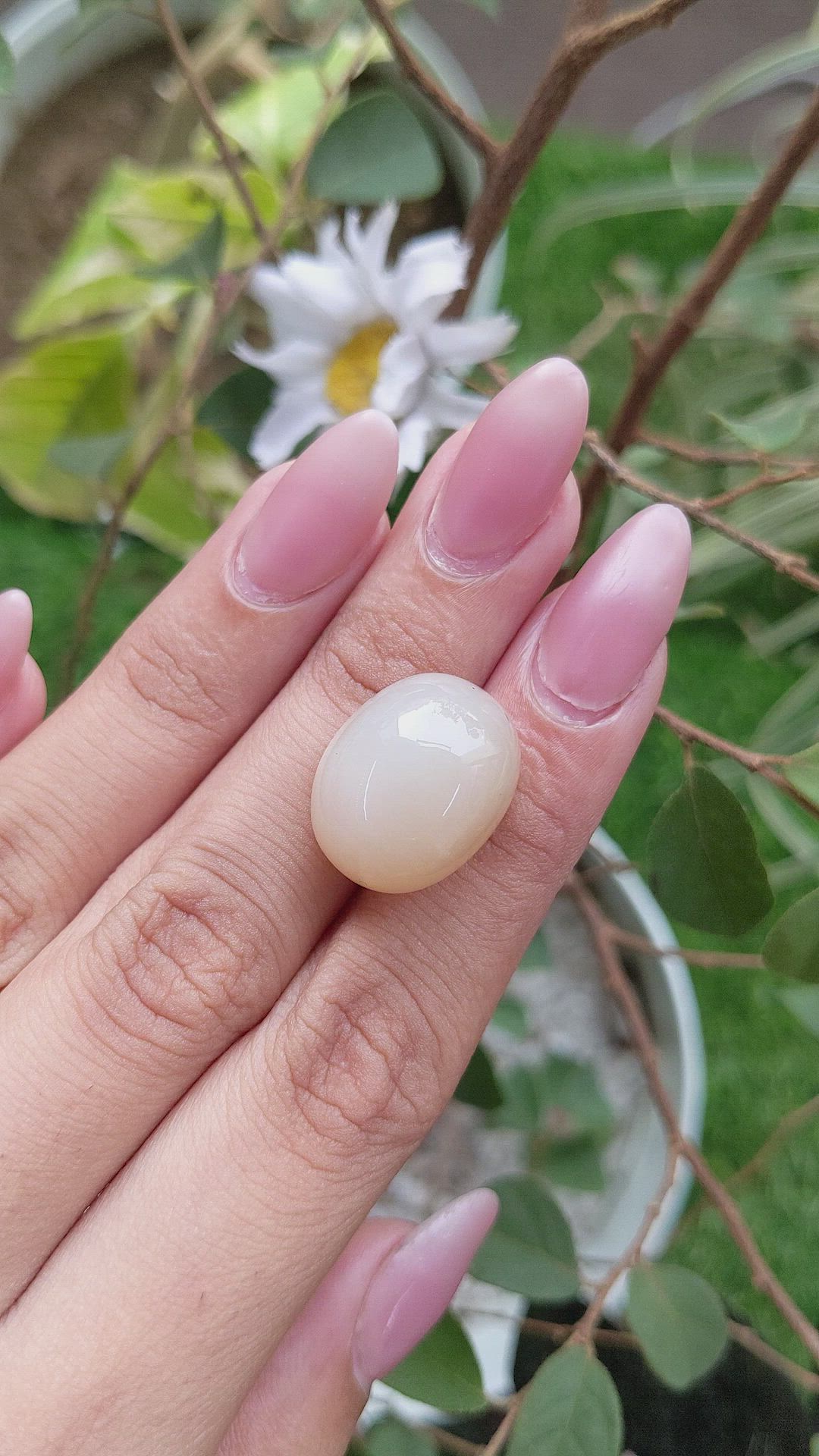 29.04 Ct. Cabochon Moonstone from Ceylon (Sri Lanka) Size Video