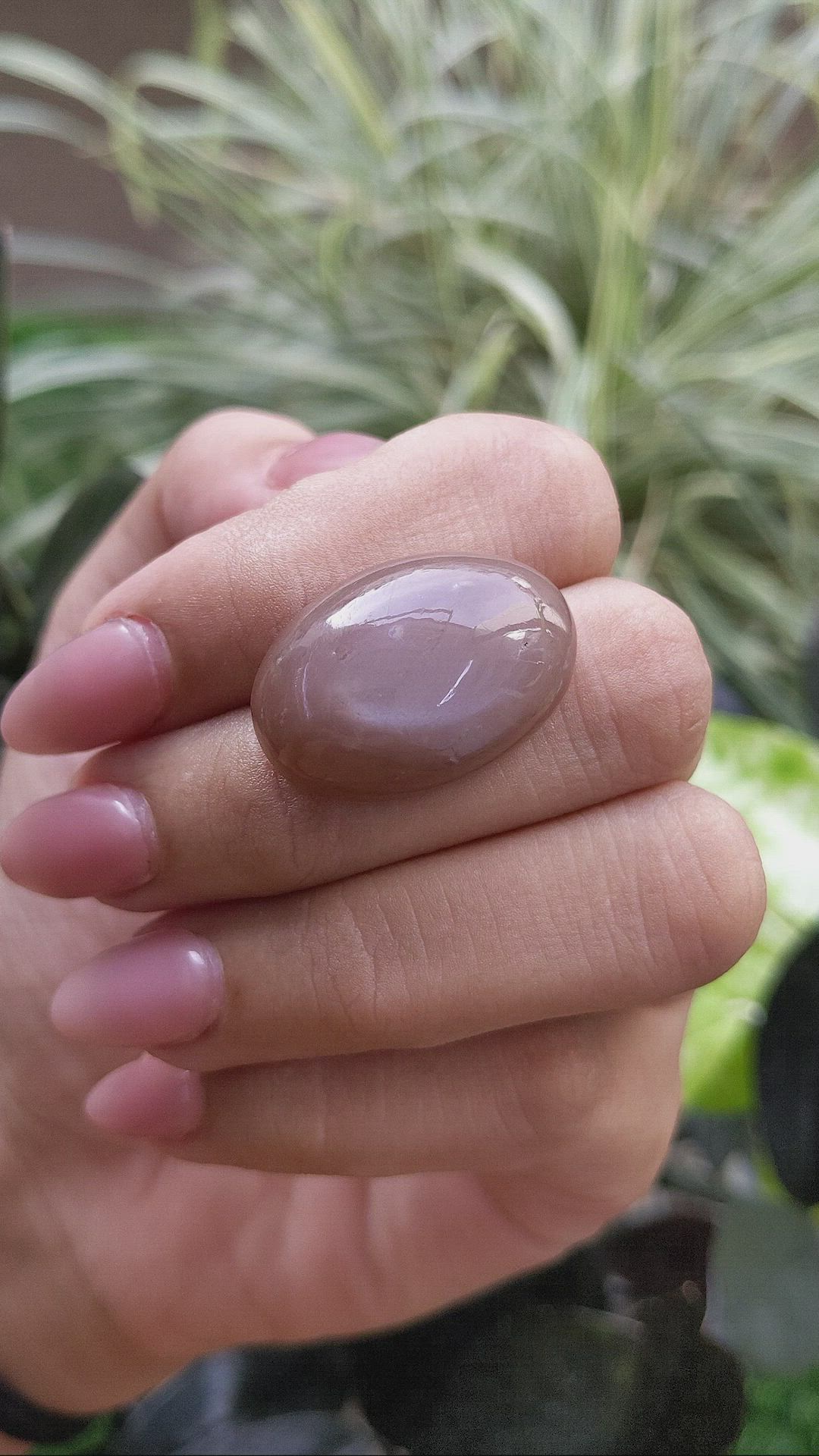 39.14 Ct. Cabochon Moonstone from Ceylon (Sri Lanka) Size Video