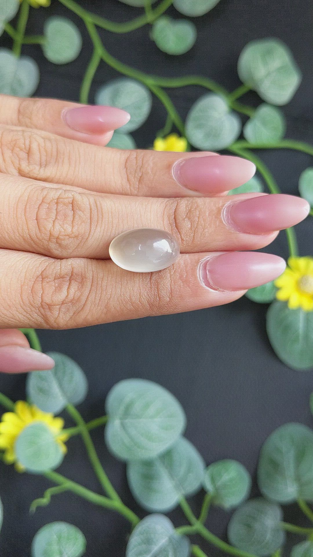 11.12 Ct. Grey Cabochon Moonstone from Ceylon (Sri Lanka) Size Video