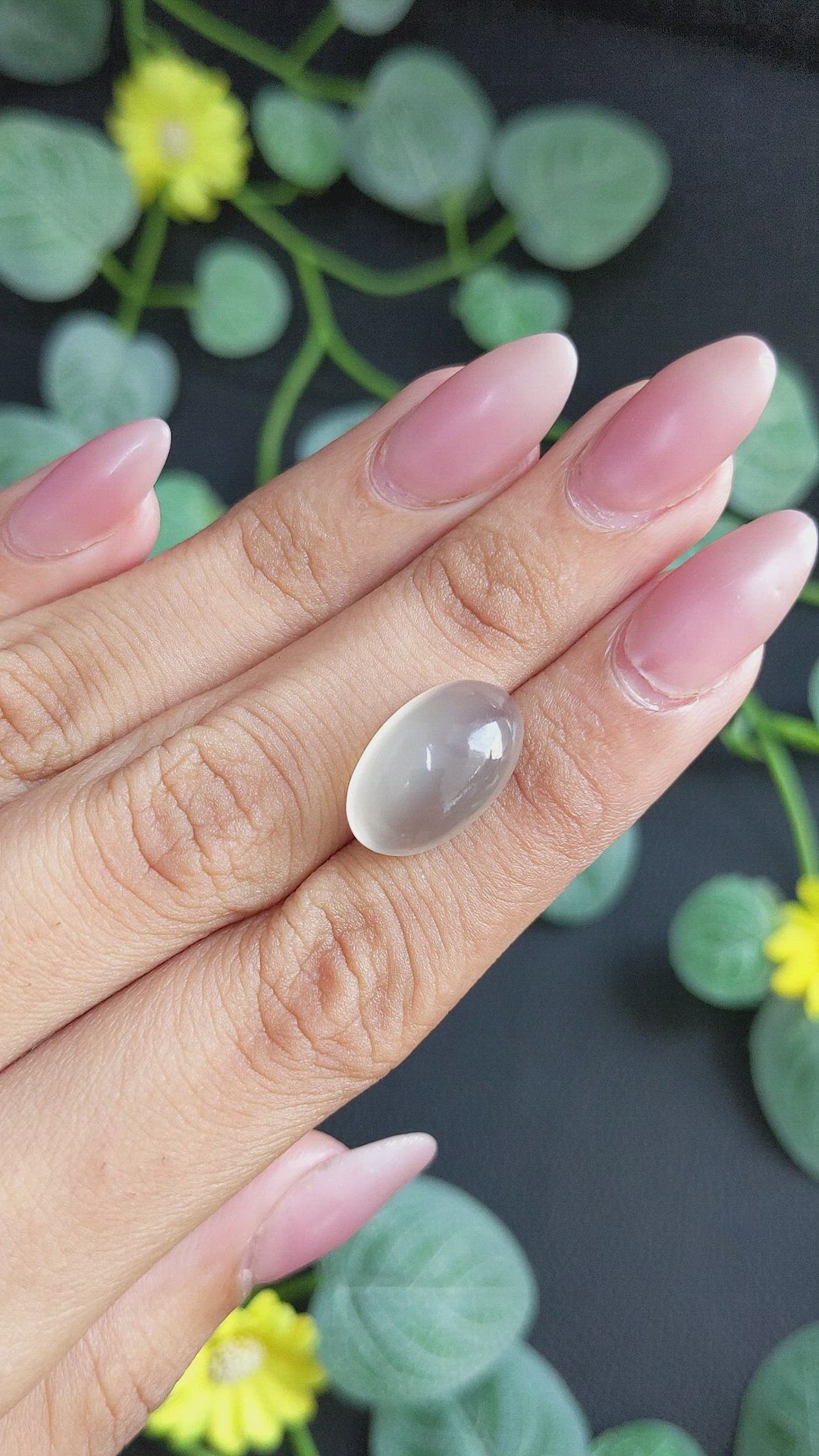 11.12 Ct. Grey Cabochon Moonstone from Ceylon (Sri Lanka) Size Video