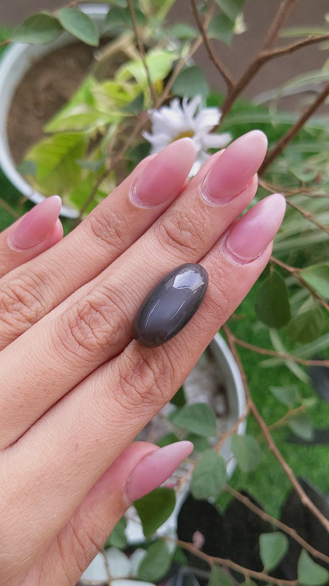 21.93 Ct. Cabochon Moonstone from Ceylon (Sri Lanka) Size Video