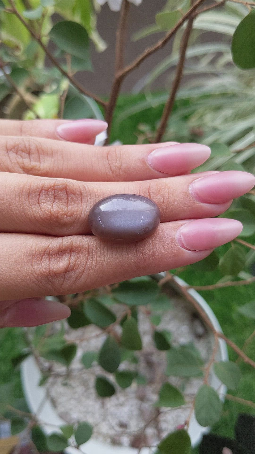 18.71 Ct. Cabochon Moonstone from Ceylon (Sri Lanka) Size Video