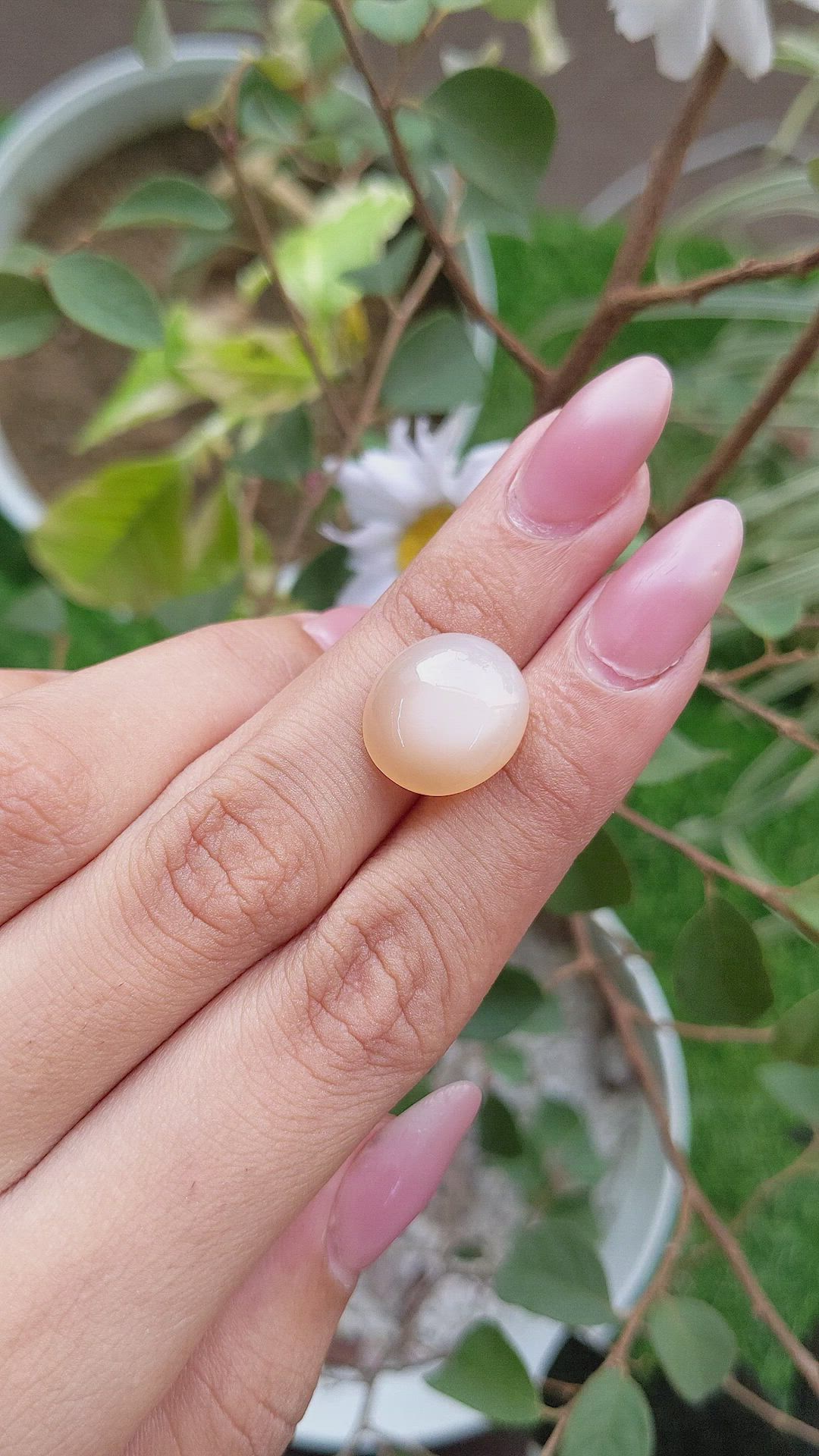 10.06 Ct. Cabochon Moonstone from Ceylon (Sri Lanka) Size Video