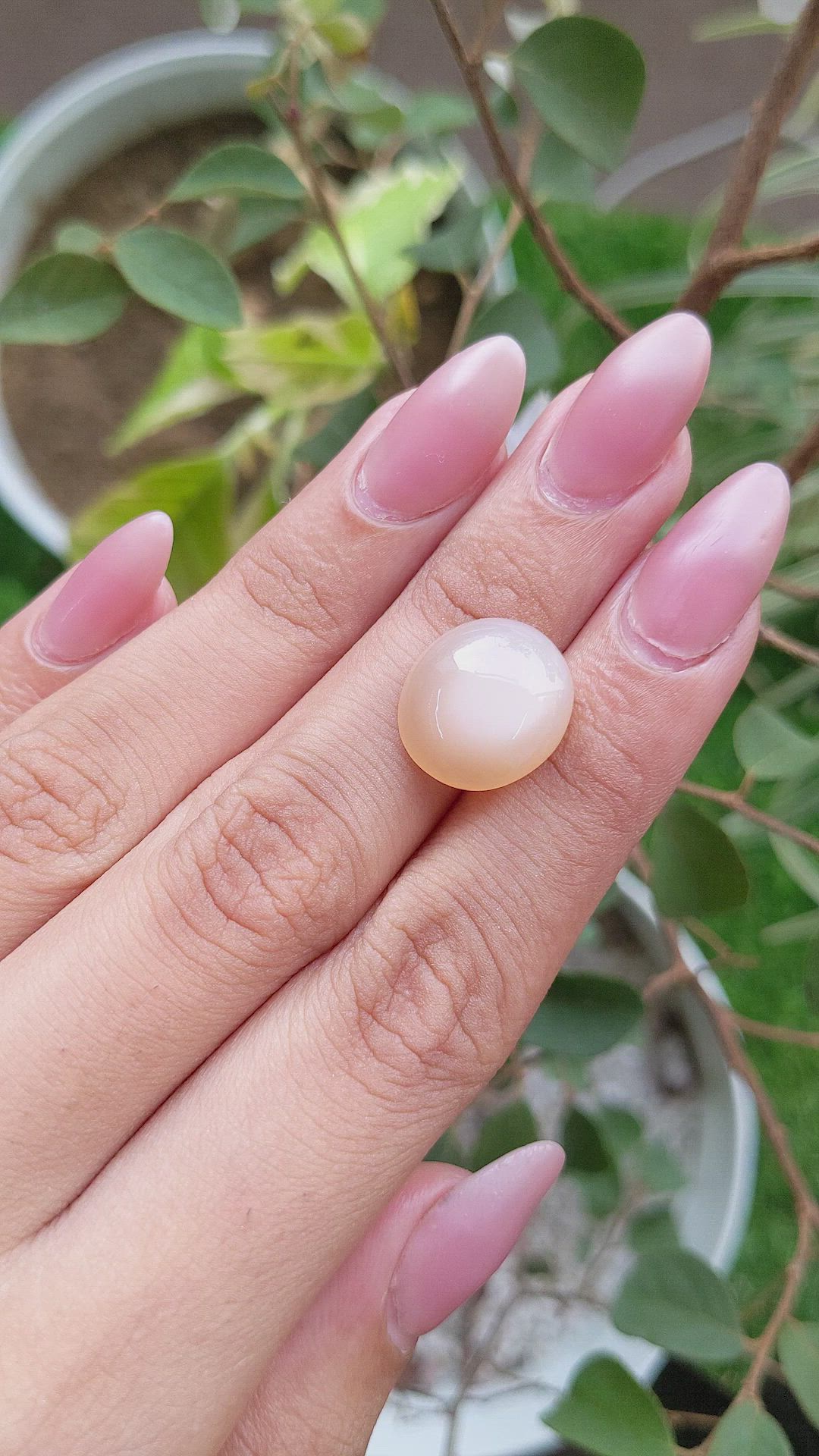 10.06 Ct. Cabochon Moonstone from Ceylon (Sri Lanka) Size Video