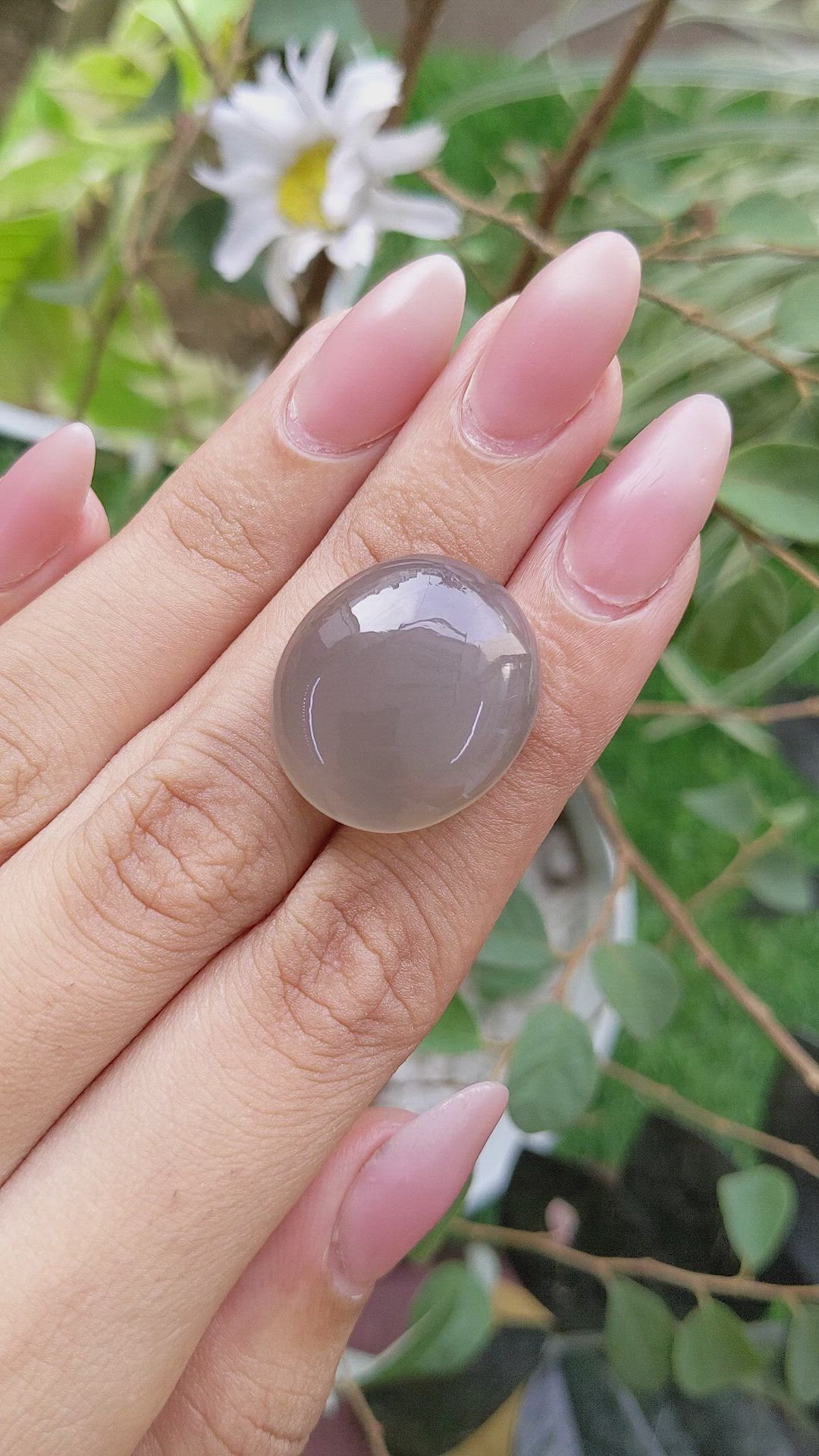 37.71 Ct. Cabochon Moonstone from Ceylon (Sri Lanka) Size Video