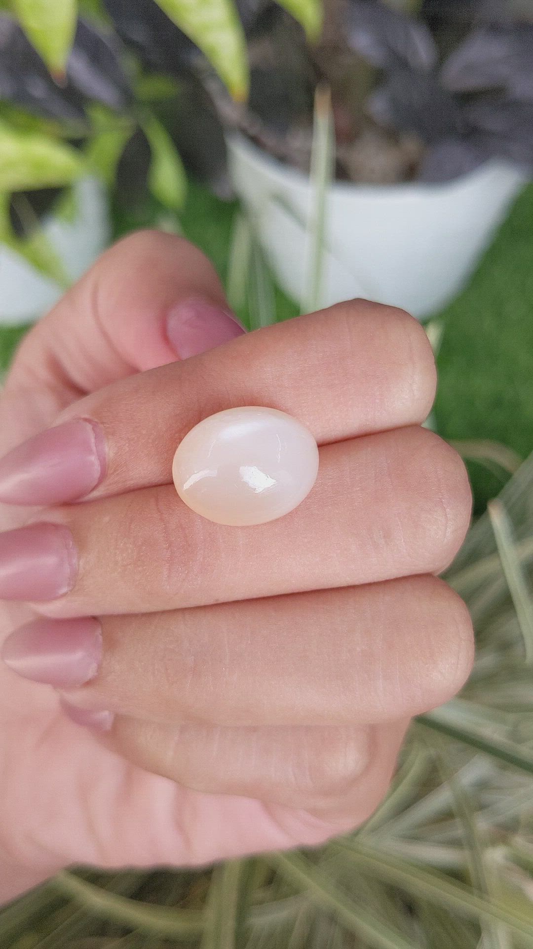 14.12 Ct. Cabochon Moonstone from Ceylon (Sri Lanka) Size Video