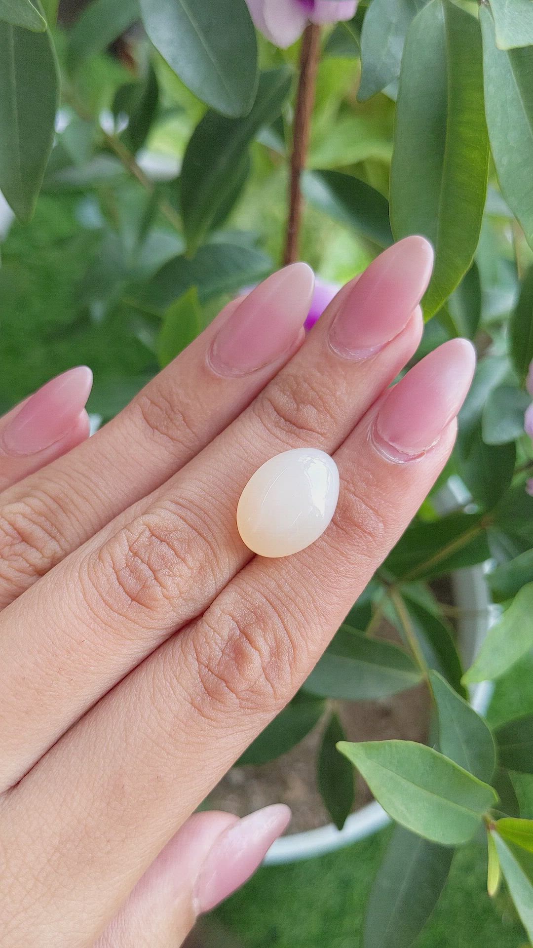 11.13 Ct. Cabochon Moonstone from Ceylon (Sri Lanka) Size Video