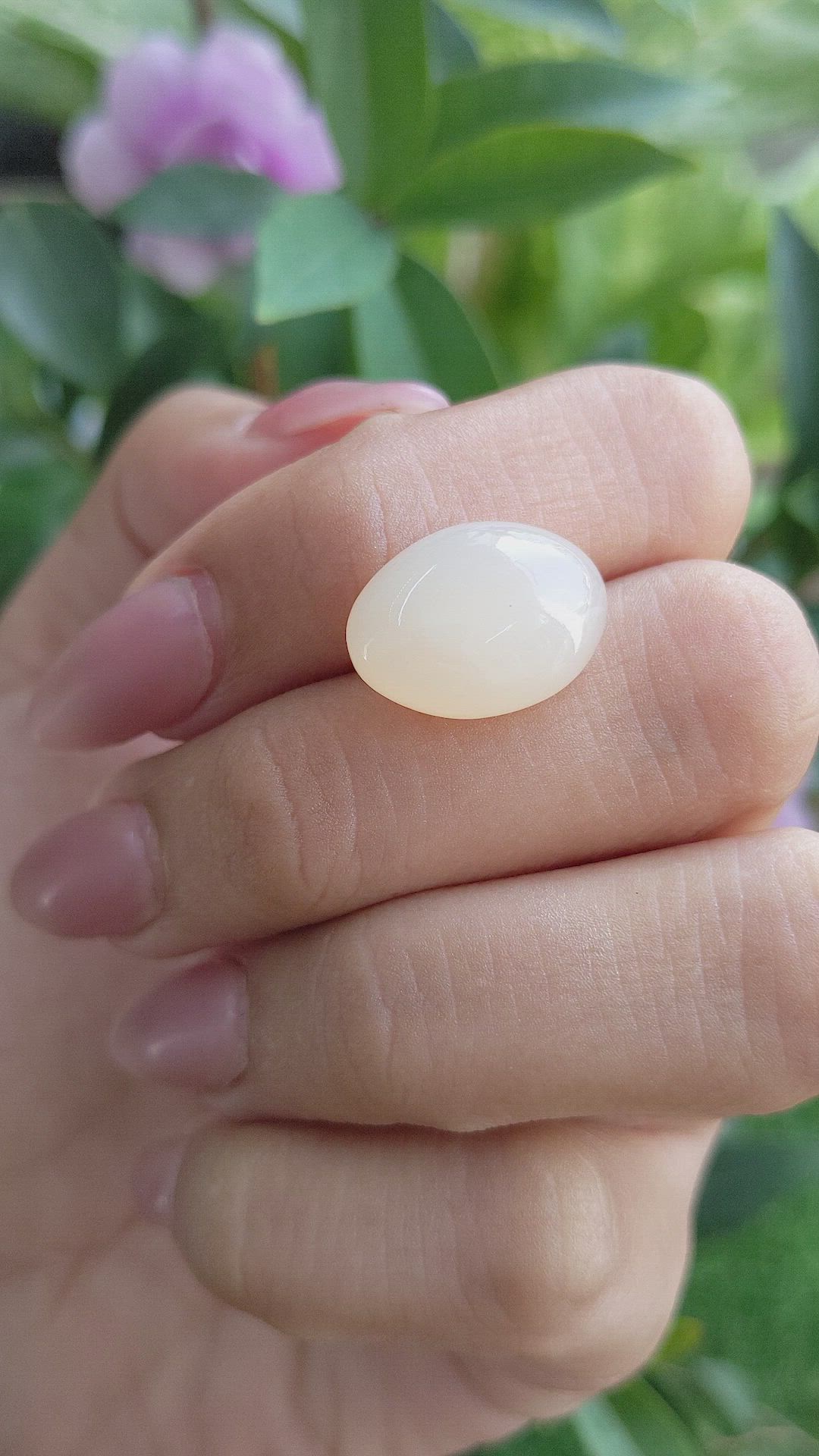 11.13 Ct. Cabochon Moonstone from Ceylon (Sri Lanka) Size Video