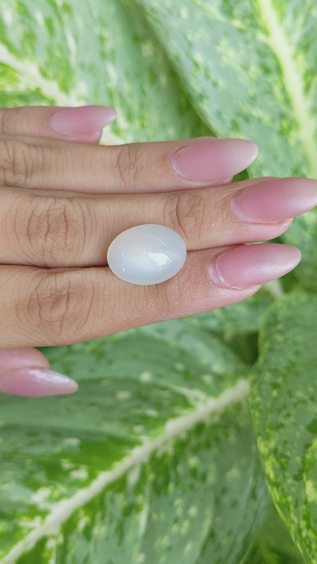 13.27 Ct. Cabochon Moonstone from Ceylon (Sri Lanka) Size Video