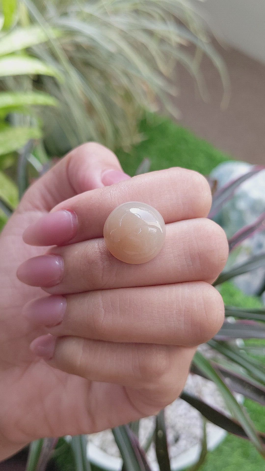 23.70 Ct. Cabochon Moonstone from Ceylon (Sri Lanka) Size Video
