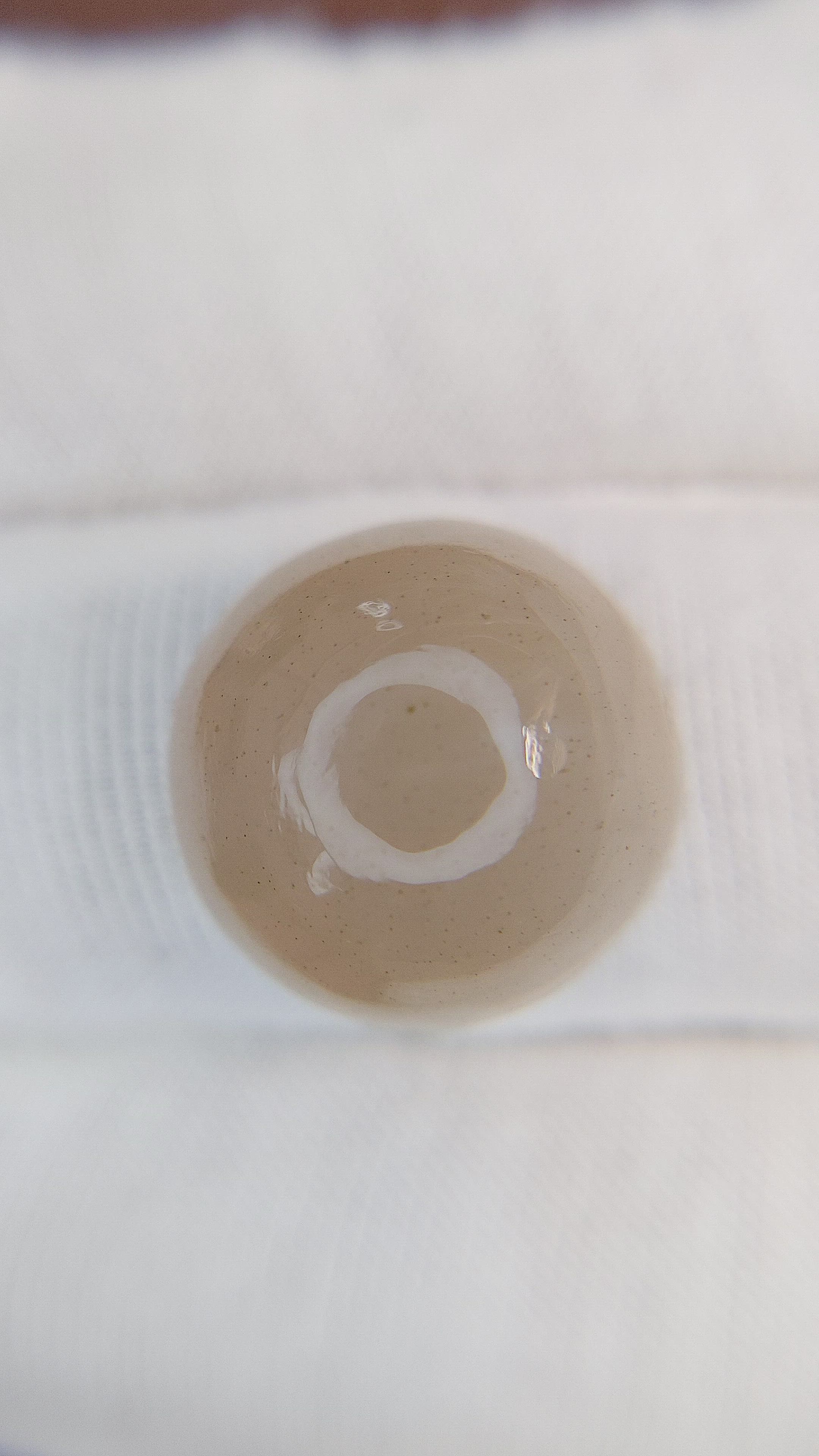 23.70 Ct. Cabochon Moonstone from Ceylon (Sri Lanka) Size Video