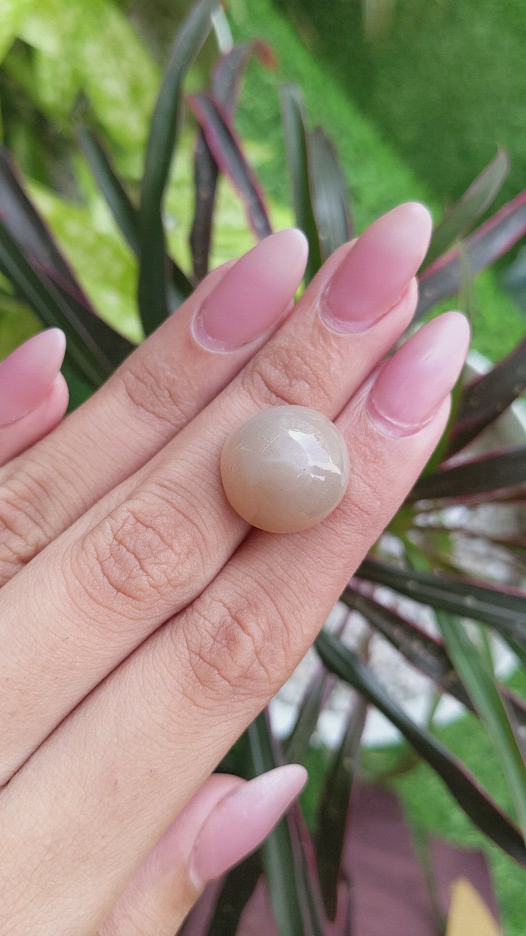 23.70 Ct. Cabochon Moonstone from Ceylon (Sri Lanka) Size Video