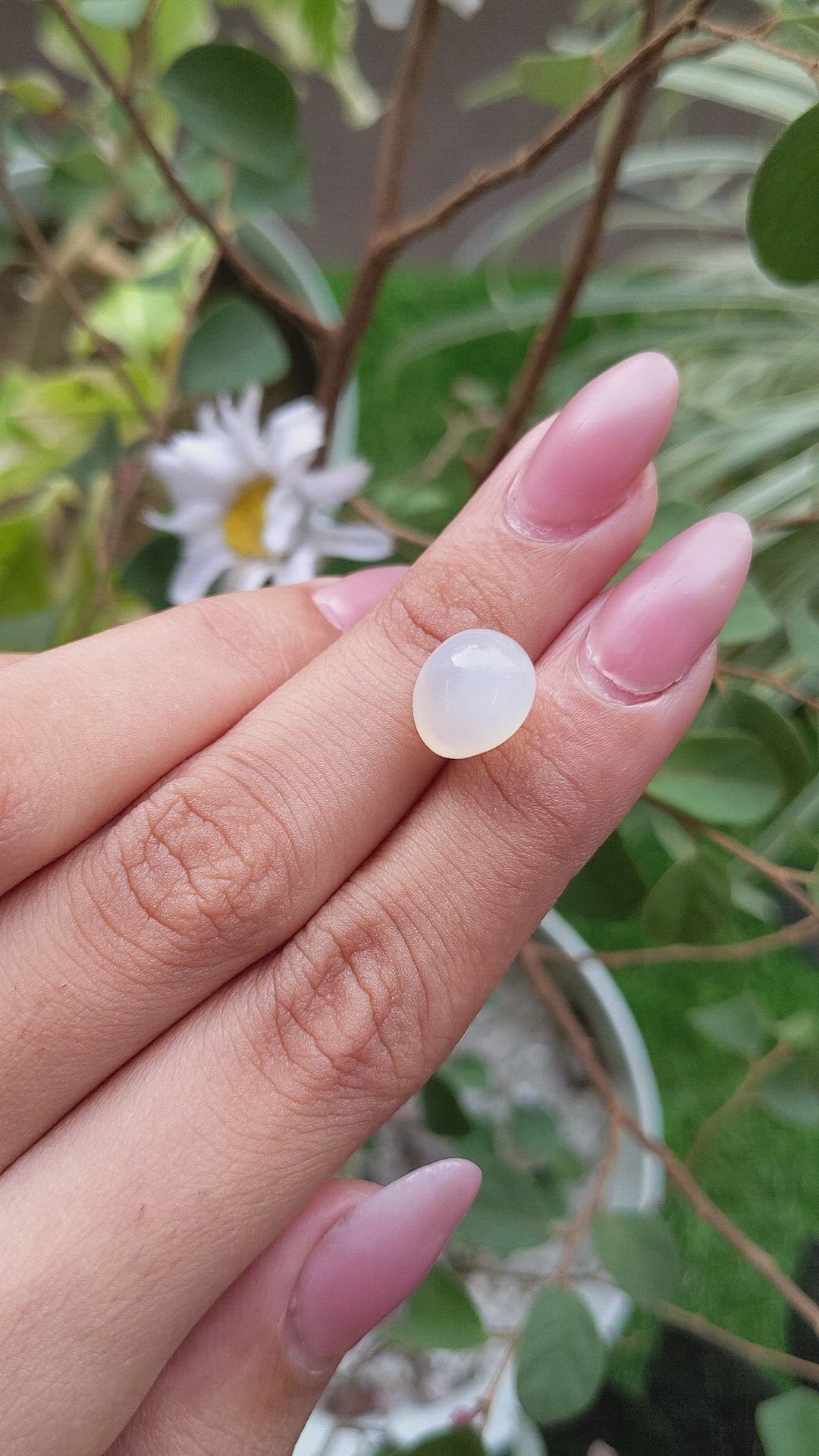 6.73 Ct. Cabochon Moonstone from Ceylon (Sri Lanka) Size Video