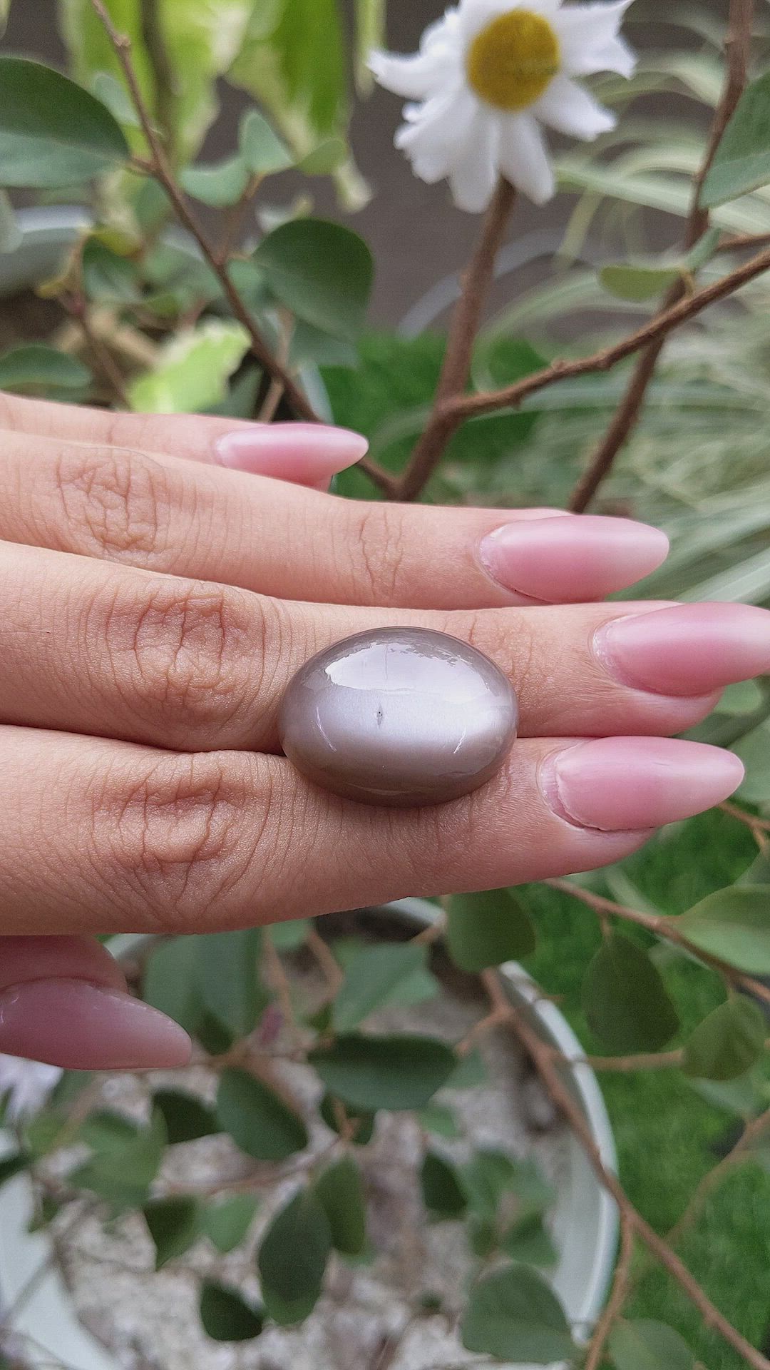 26.15 Ct. Cabochon Moonstone from Ceylon (Sri Lanka) Size Video