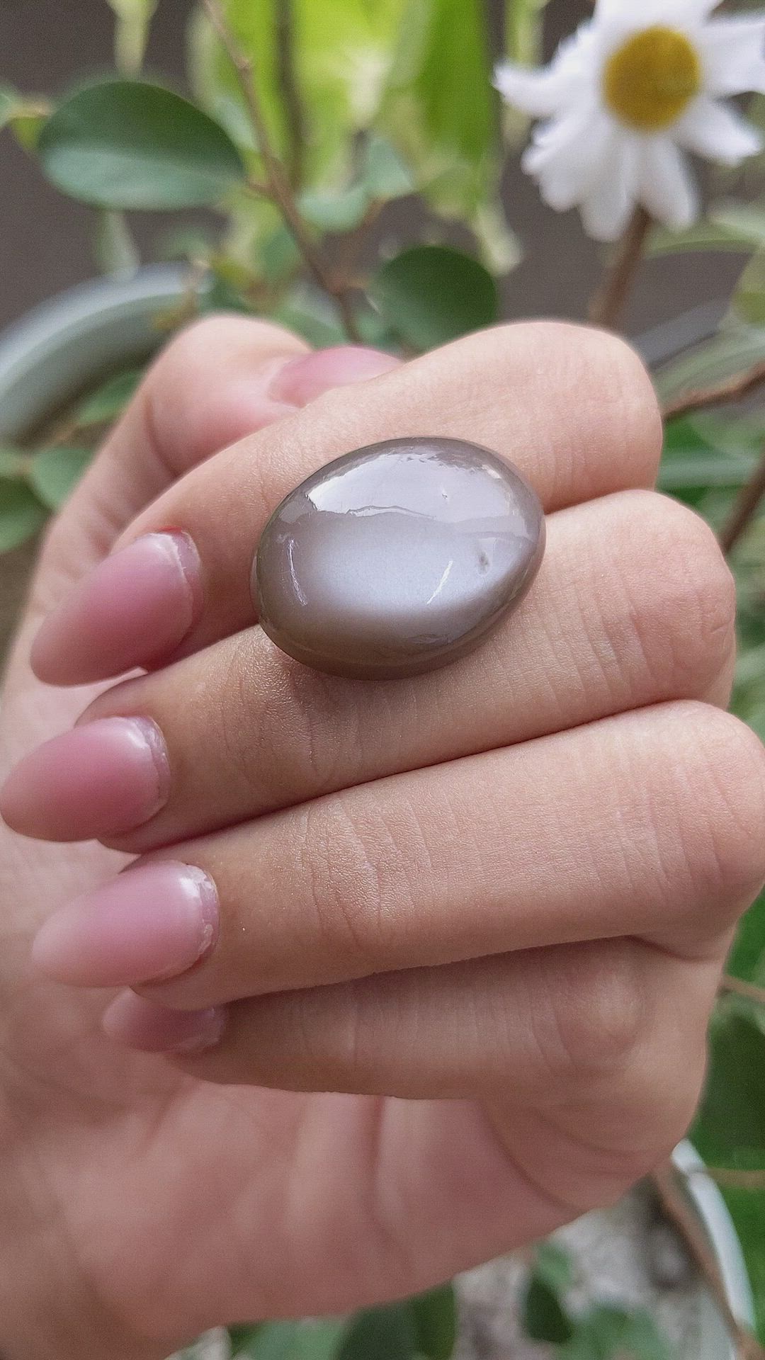 26.15 Ct. Cabochon Moonstone from Ceylon (Sri Lanka) Size Video