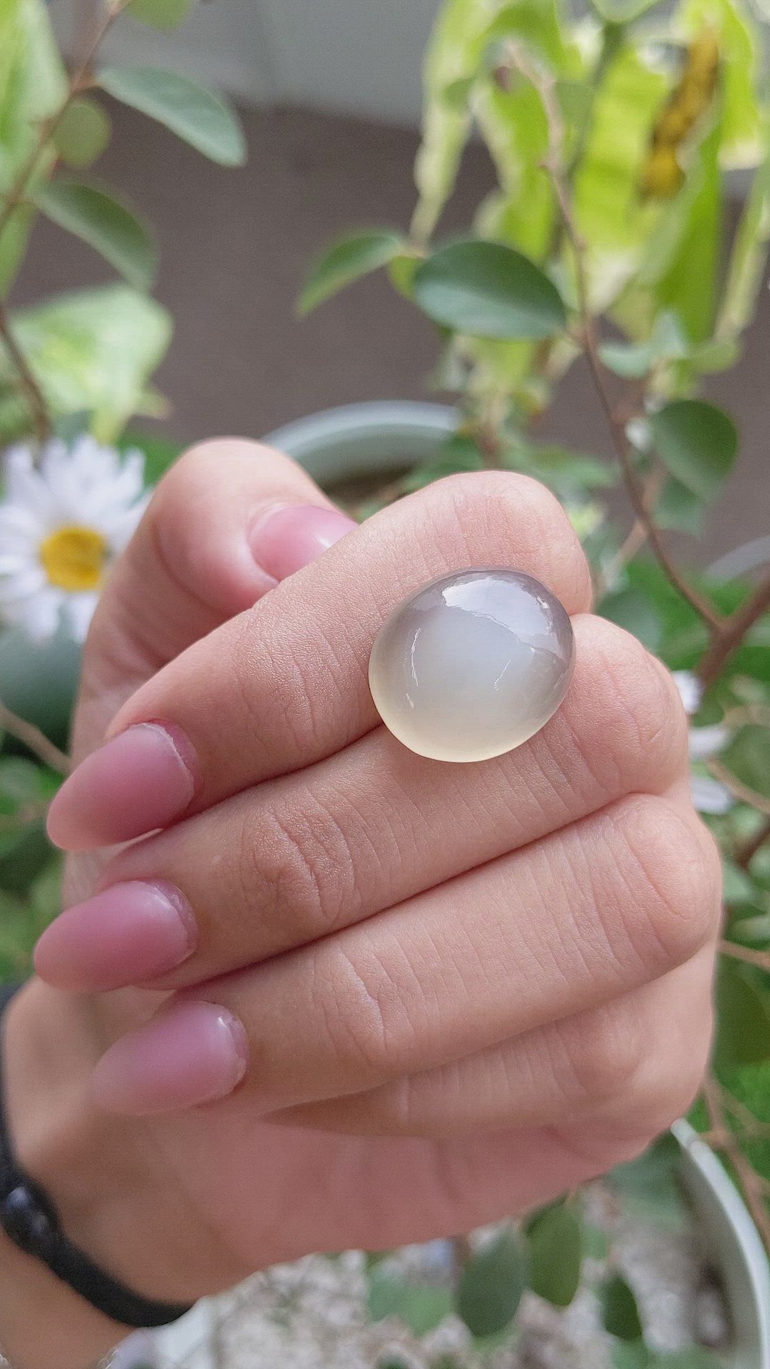 19.21 Ct. Cabochon Moonstone from Ceylon (Sri Lanka) Size Video