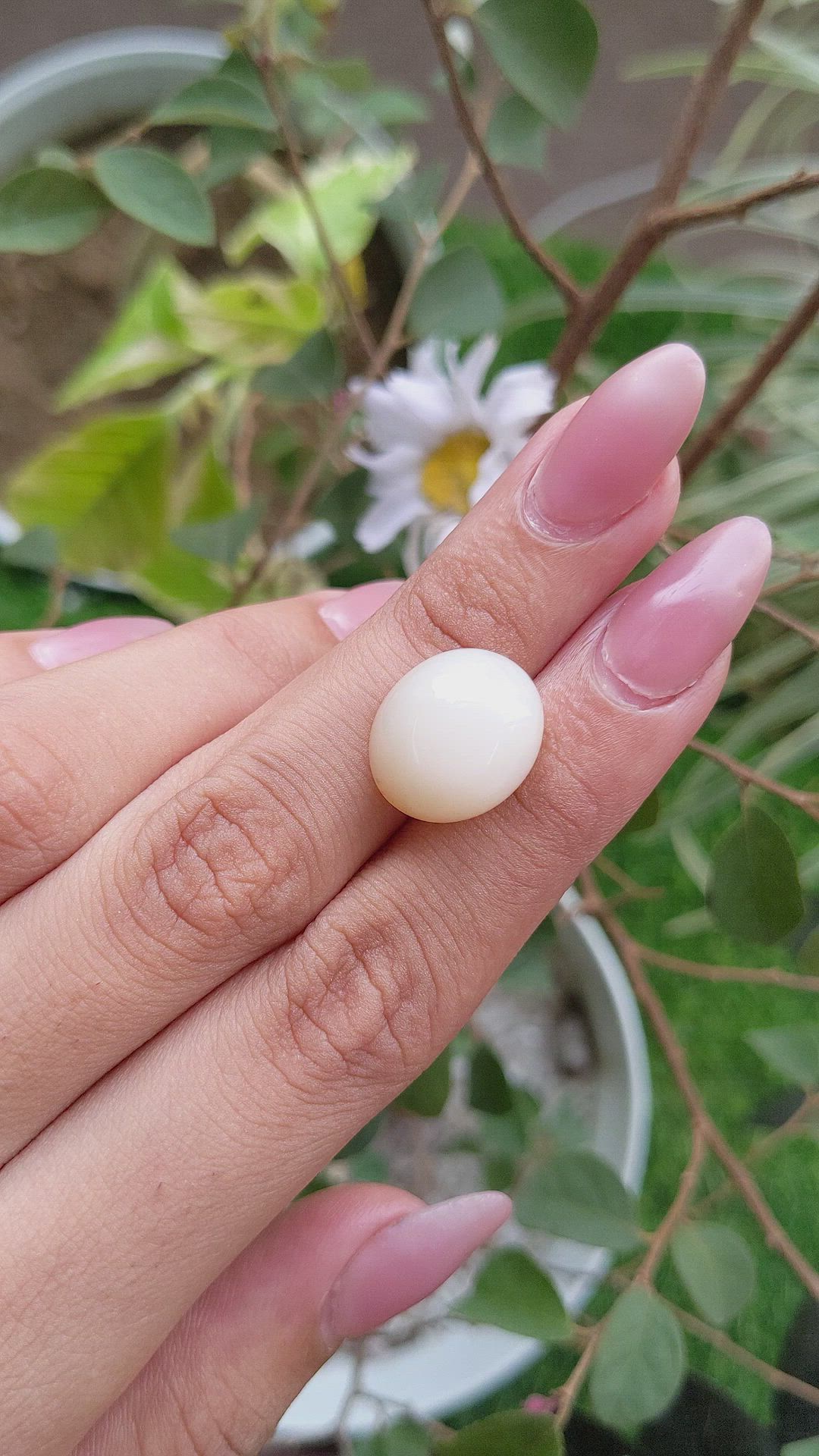12.77 Ct. Cabochon Moonstone from Ceylon (Sri Lanka) Size Video