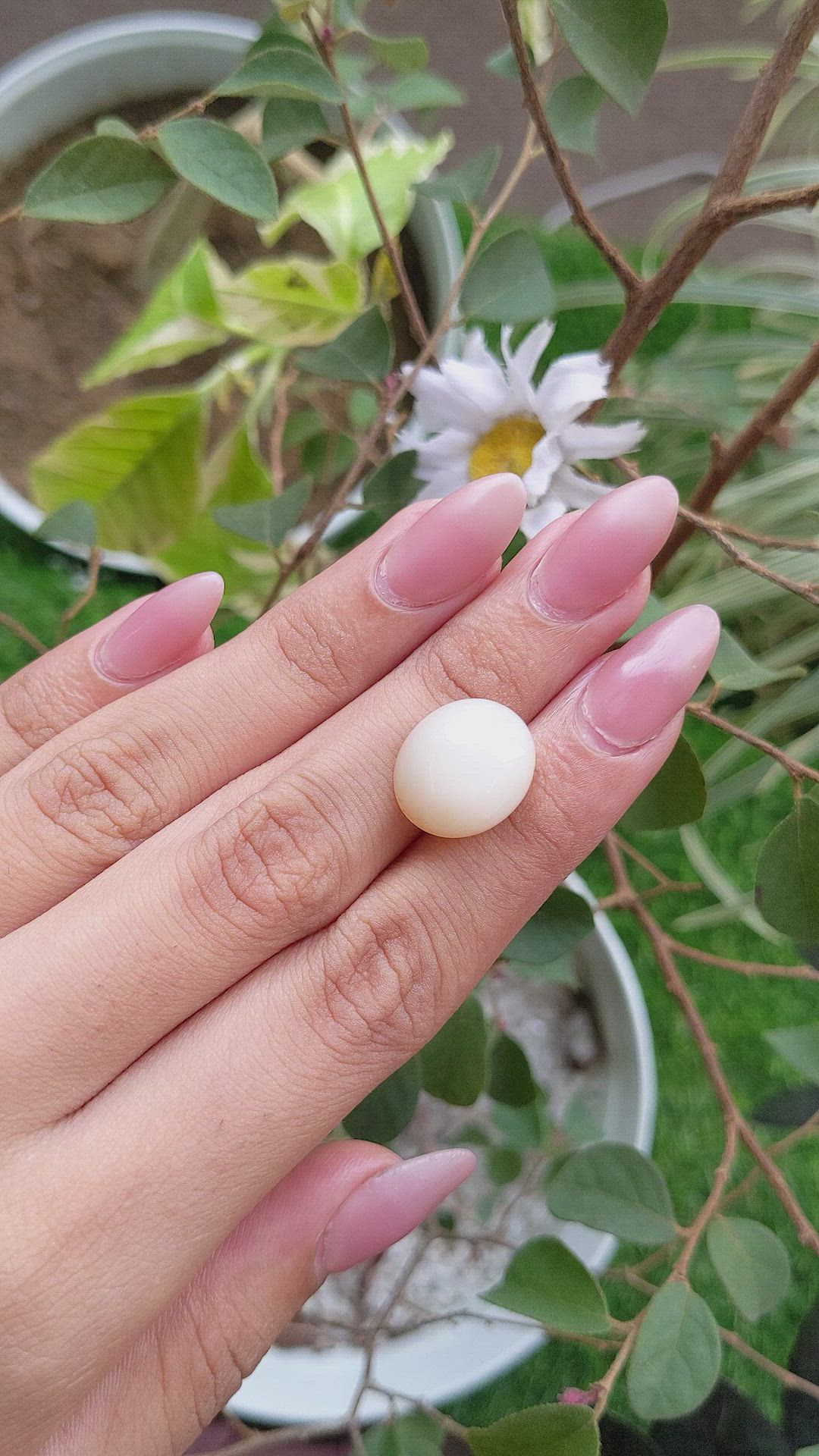 12.77 Ct. Cabochon Moonstone from Ceylon (Sri Lanka) Size Video