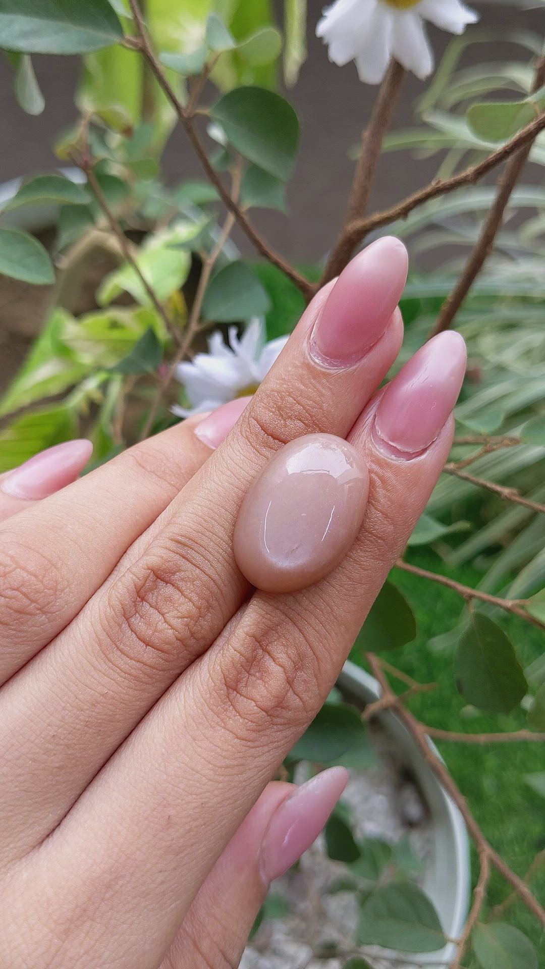 21.05 Ct. Cabochon Moonstone from Ceylon (Sri Lanka) Size Video