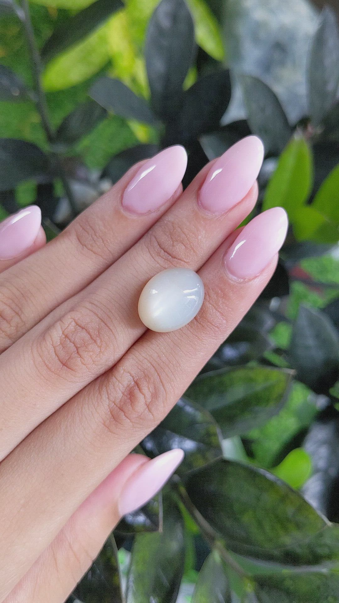 14.65 Ct. Cabochon Moonstone from Ceylon (Sri Lanka) Size Video
