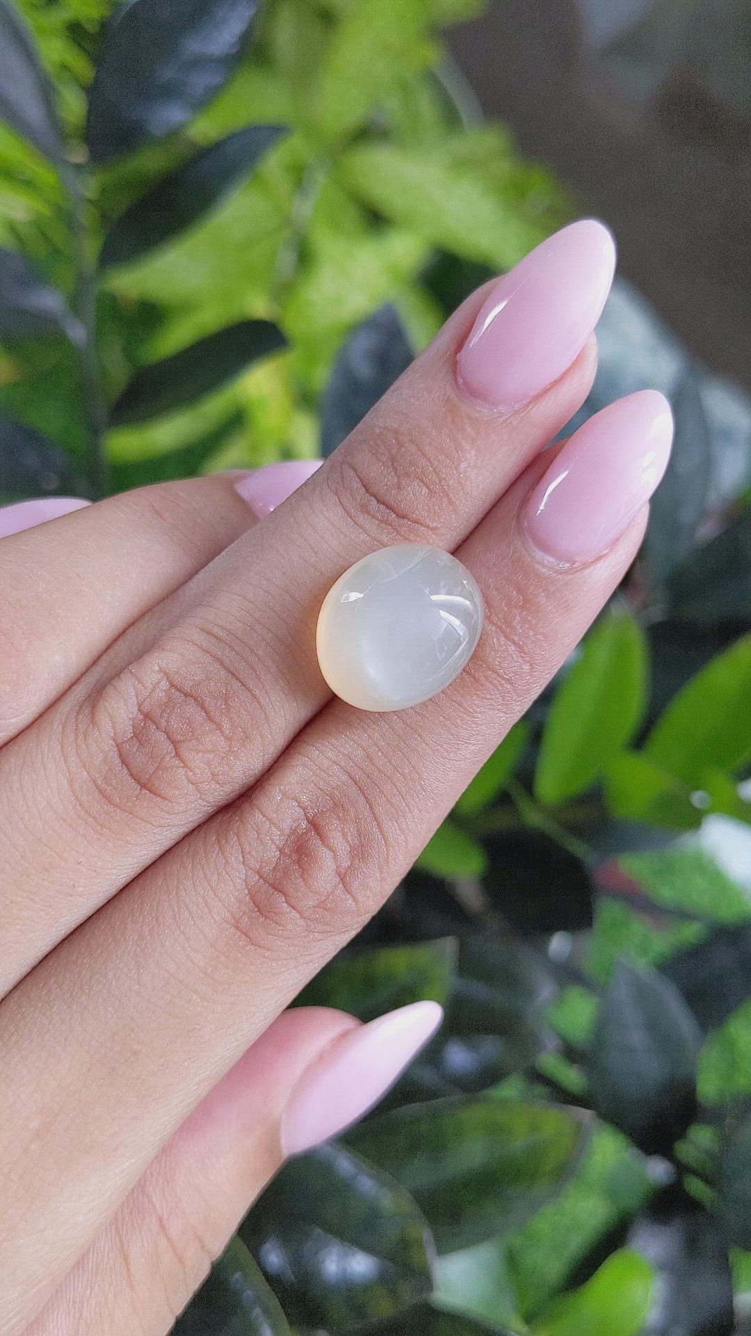 16.00 Ct. Cabochon Moonstone from Ceylon (Sri Lanka) Size Video