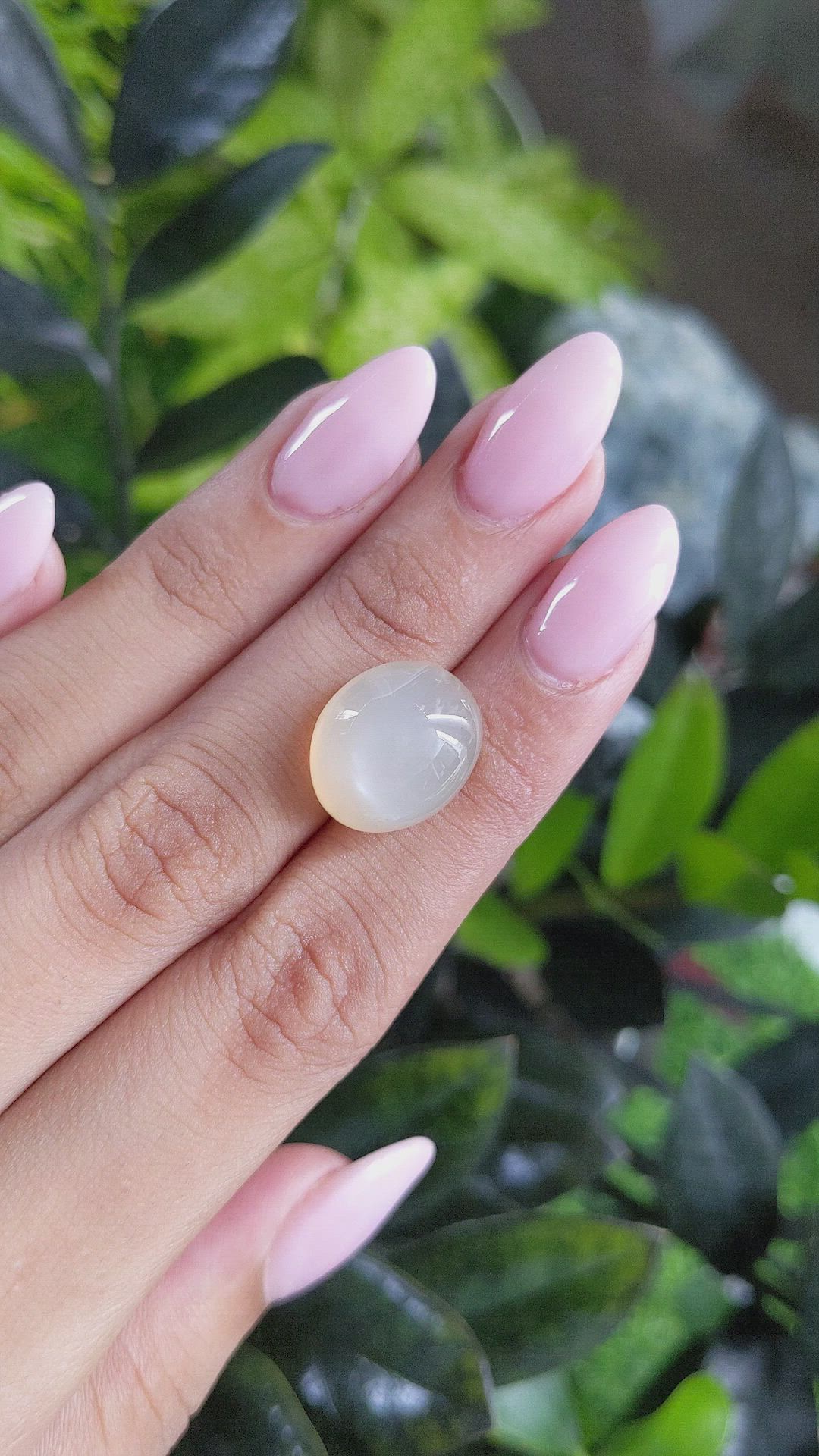 16.00 Ct. Cabochon Moonstone from Ceylon (Sri Lanka) Size Video