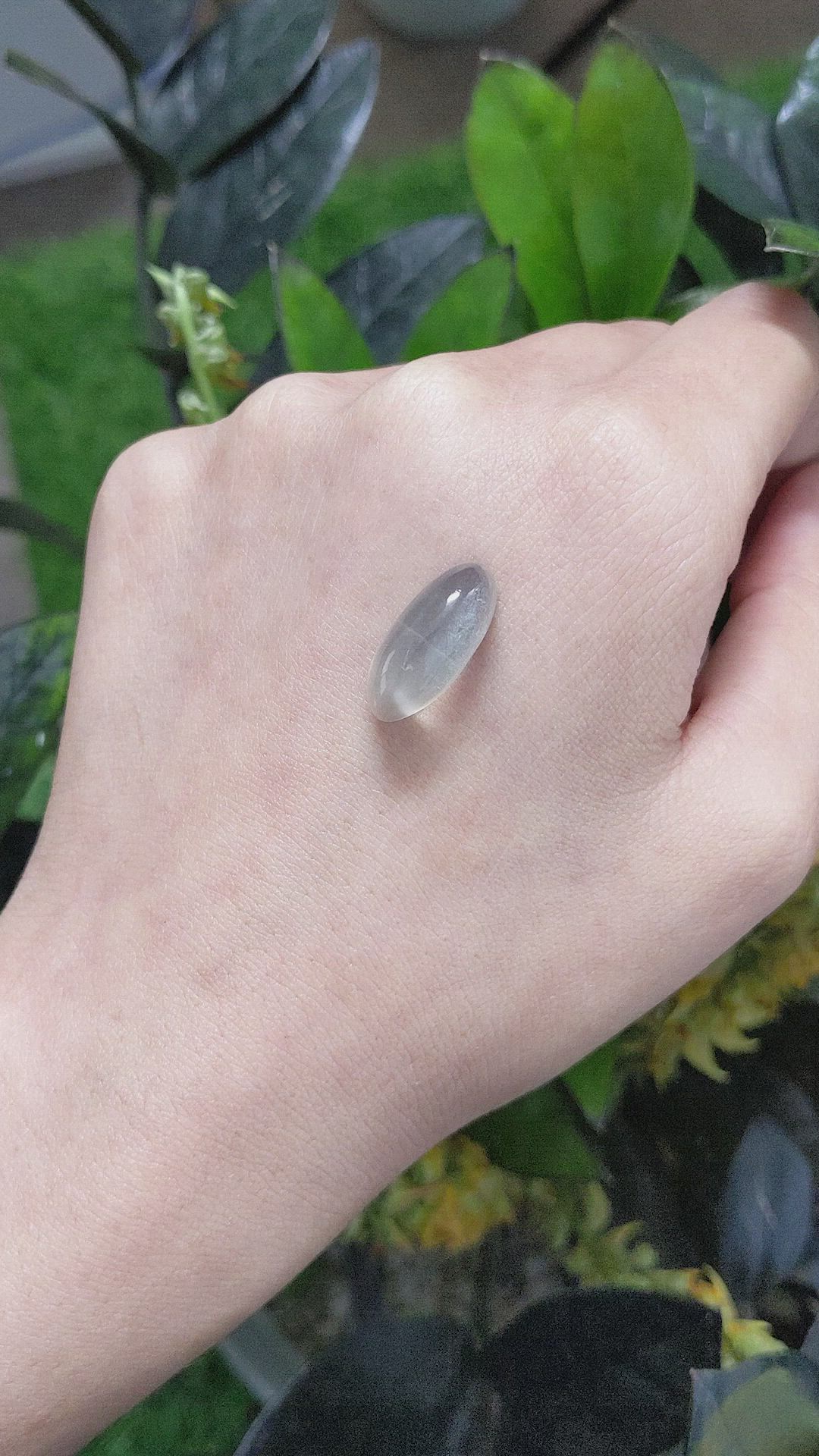 13.21 Ct. Cabochon Moonstone from Ceylon (Sri Lanka) Size Video