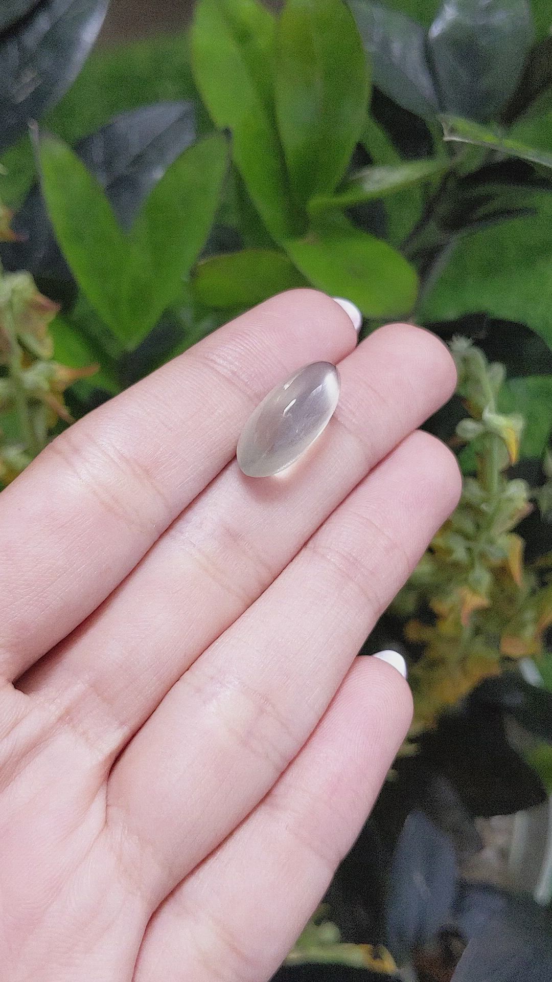 13.21 Ct. Cabochon Moonstone from Ceylon (Sri Lanka) Size Video